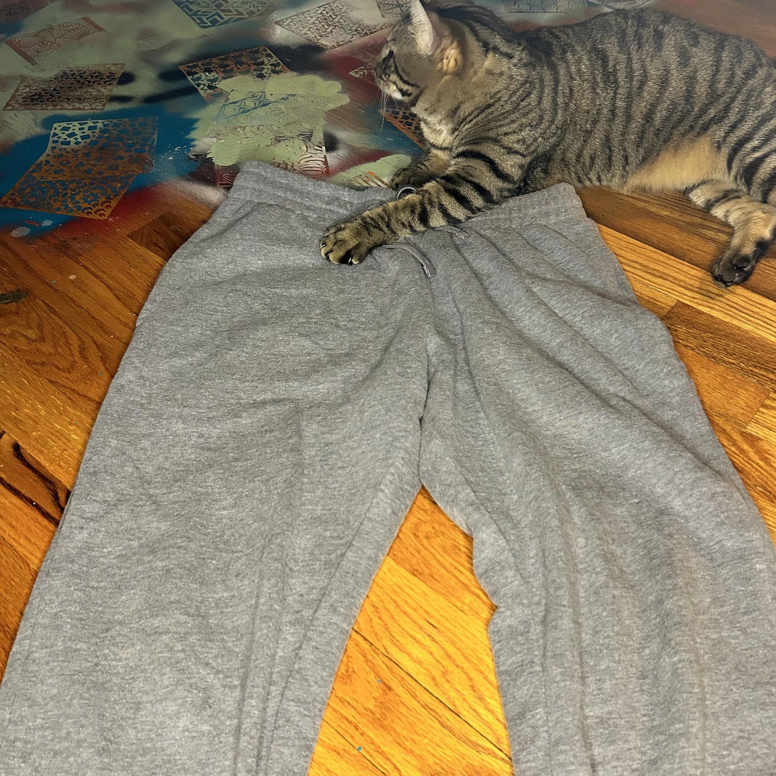 Other EX GEAR UltraSoft Fleece Men's Sweatpants - Medium - Cozy & Size US 32 / EU 48 - 1 Thumbnail