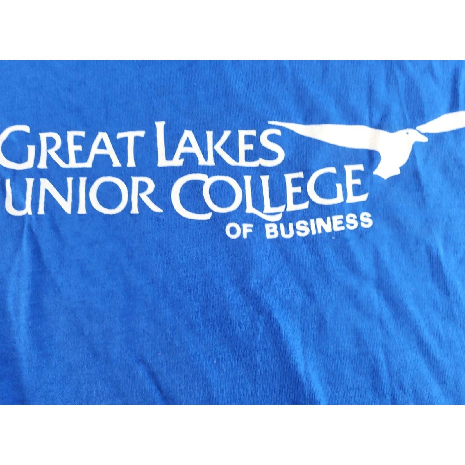 Vintage VINTAGE Great Lakes Junior College Of Business Shirt M Blue Cotton Blend USA Shirt Mens 1980s Screen Stars Size US M / EU 48-50 / 2 - 6 Thumbnail