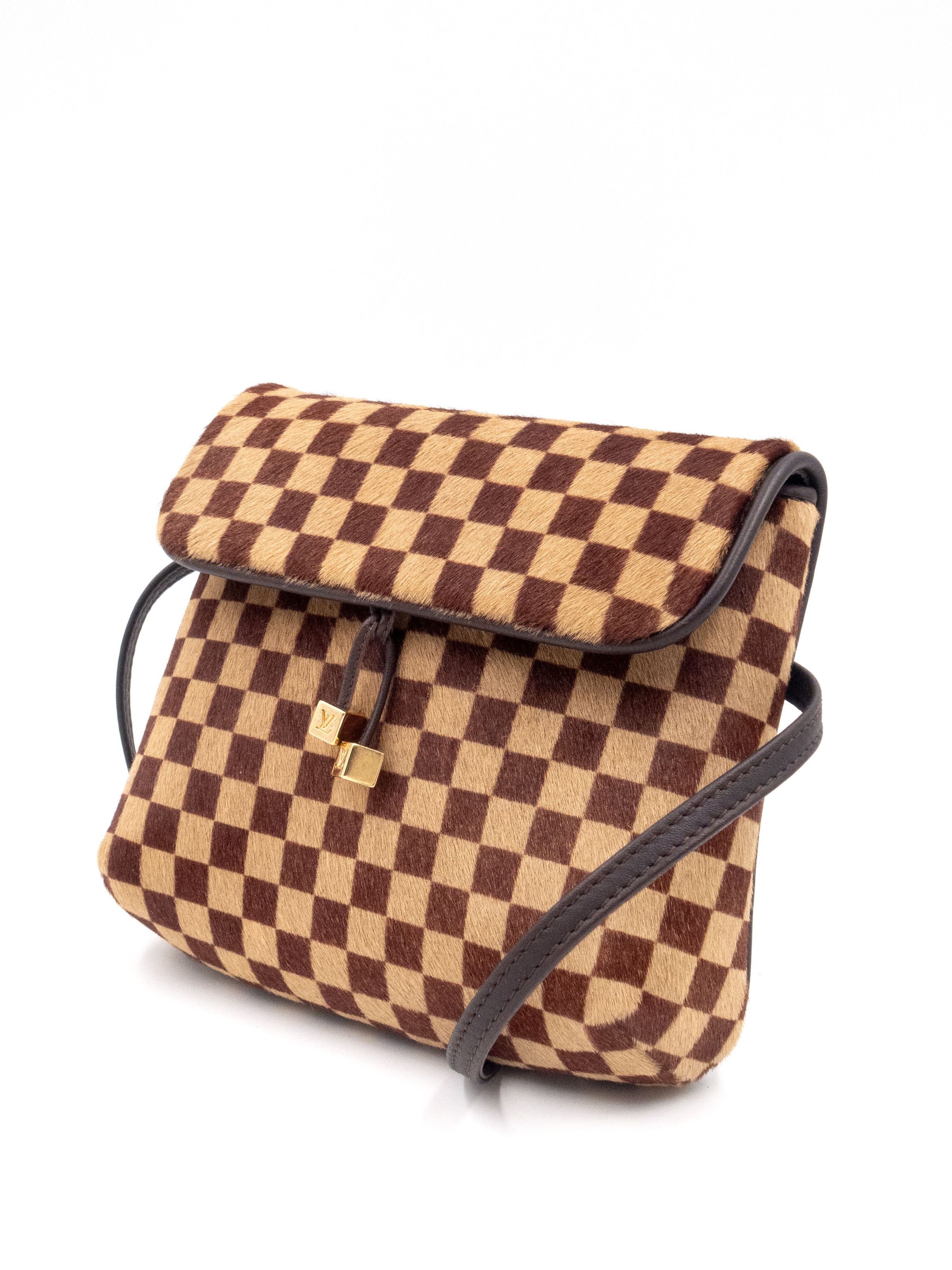 Louis Vuitton Damier Sauvage Gazelle Crossbody Bag Size ONE SIZE - 5 Thumbnail