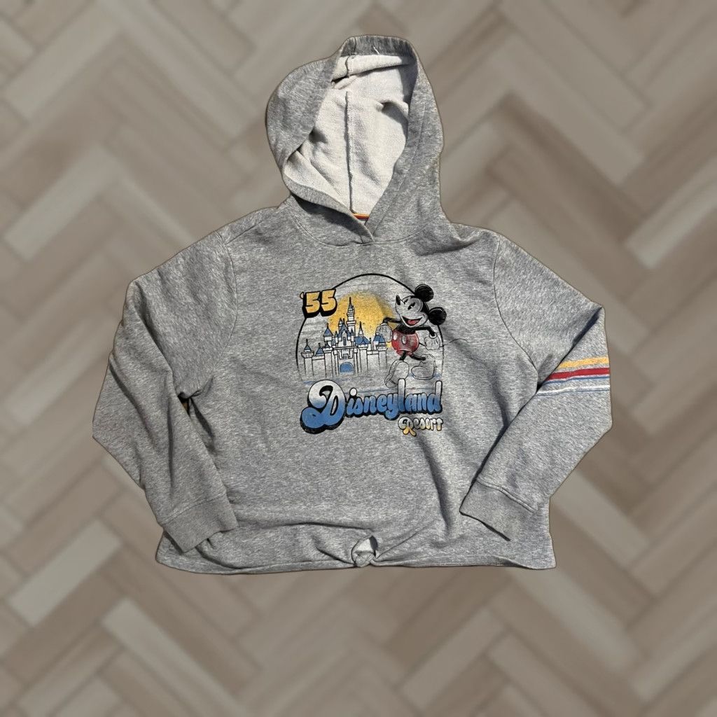 Vintage Disney Parks Authentic Disneyland Resort Sweatshirt Hoodie Womens 2XL Gray Pullover Size XXL / US 16-18 / IT 52-54 - 1 Thumbnail