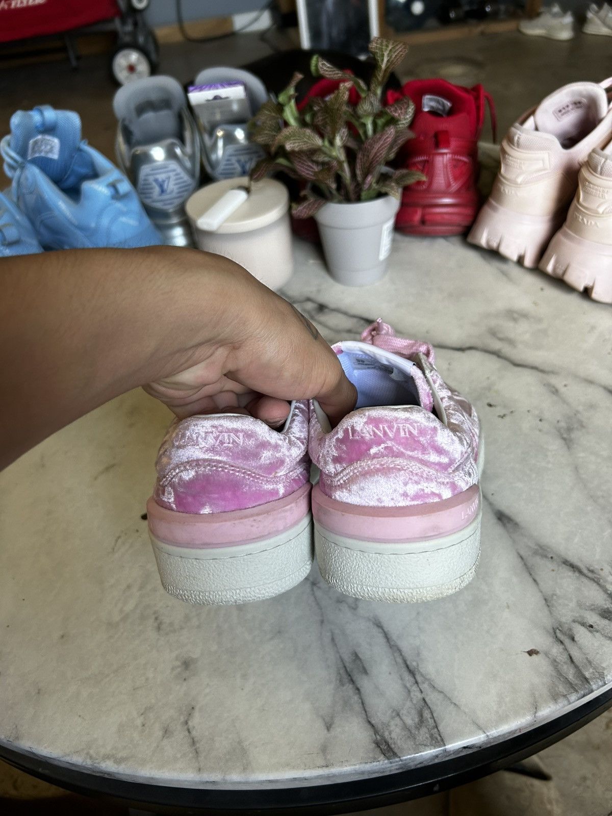 Lanvin Lanvin velour pink lows Size US 8.5 / IT 38.5 - 4 Thumbnail