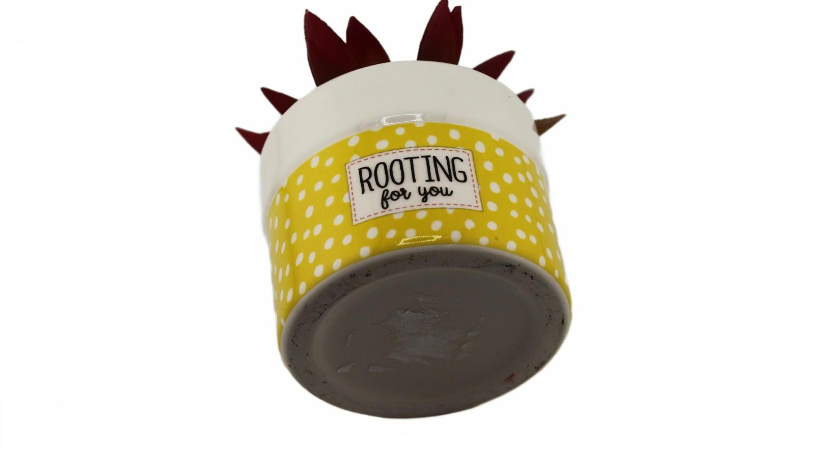 Designer Polkadot Yellow Ceramic Planter with Artificial Succulent Size ONE SIZE - 3 Thumbnail