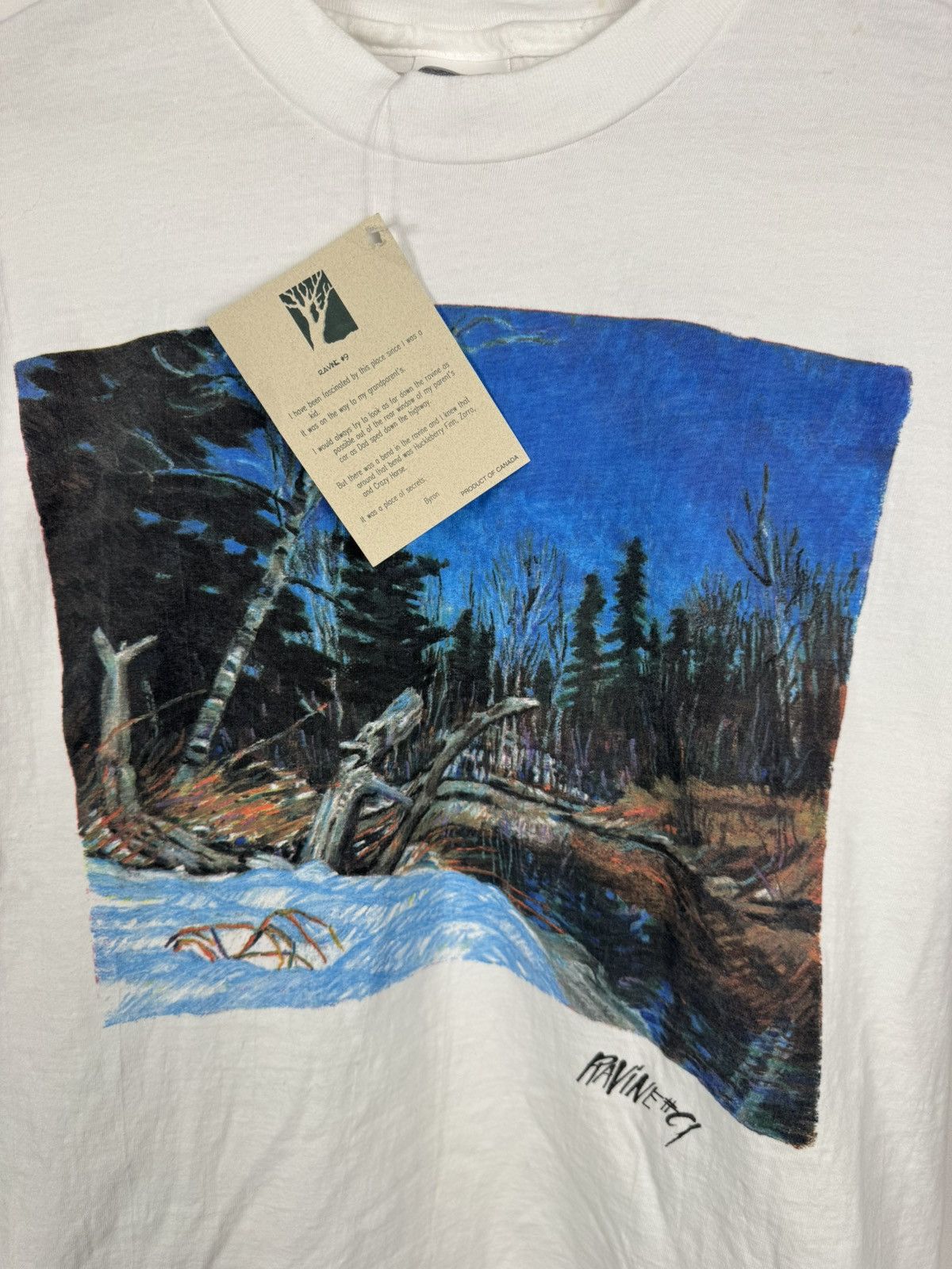 Vintage Vintage 1990s Ravine Shirt Size Large Size US L / EU 52-54 / 3 - 3 Thumbnail