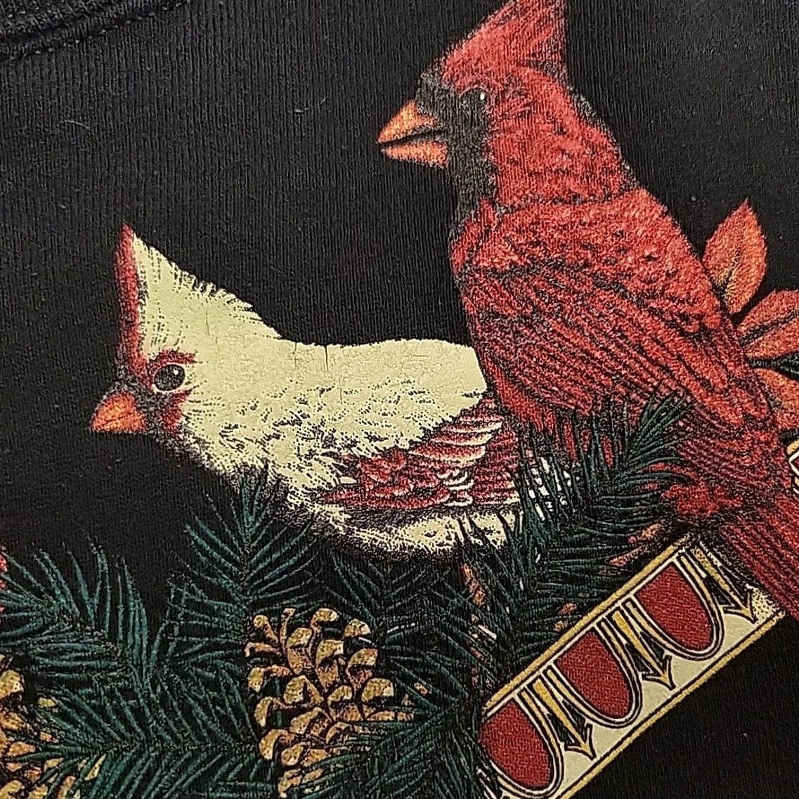 Jerzees VTG Jerzees Sweatshirt Womens 2XL Black Cardinal Cottage Made in USA Retro Pullover Crew Neck Fleece Graphic Print Size XXL / US 16-18 / IT 52-54 - 6 Thumbnail