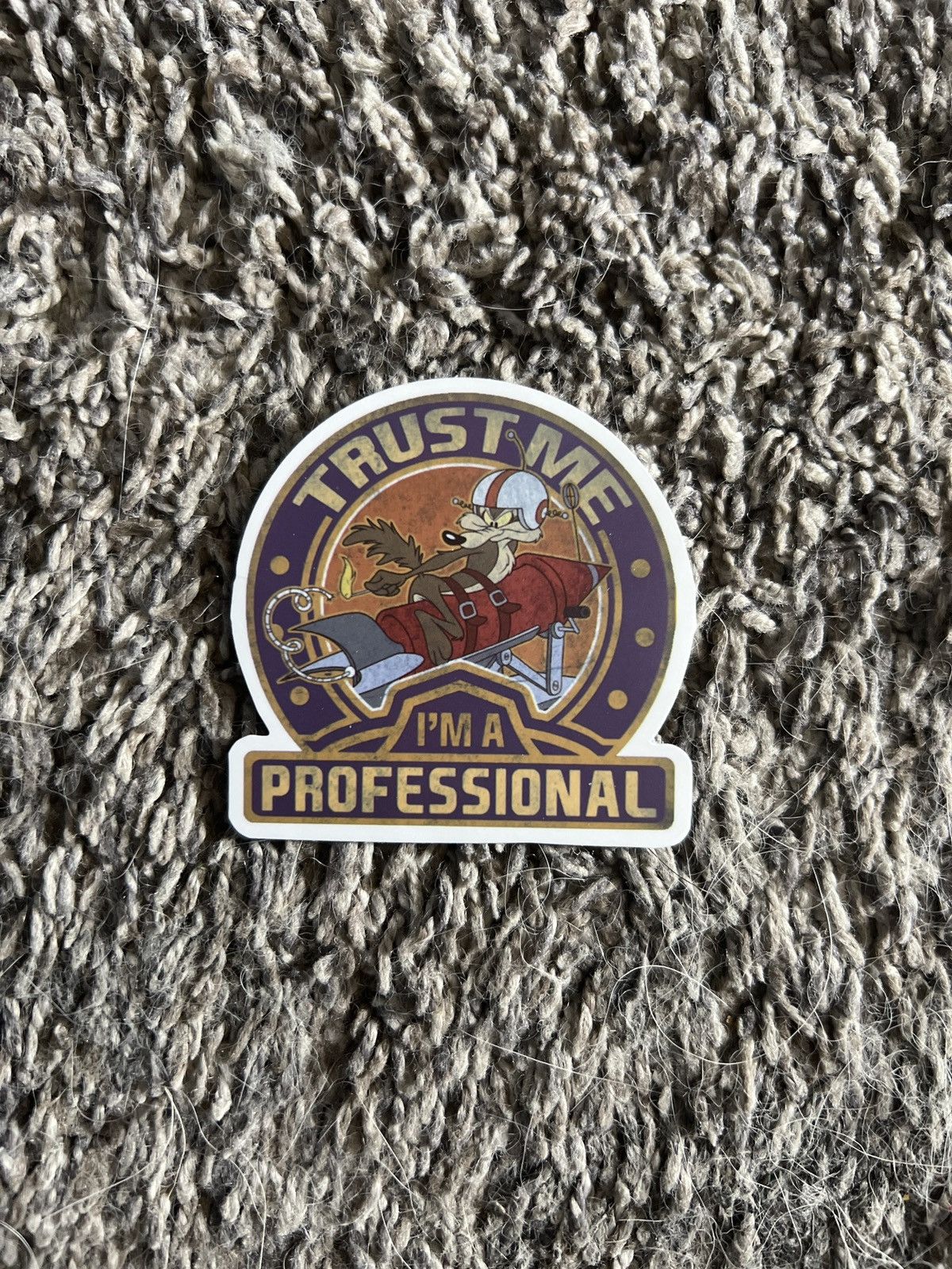 Warner Bros Looney Tunes Wile E. Coyote Trust Me I’m A Professional Stic Size ONE SIZE - 1 Thumbnail