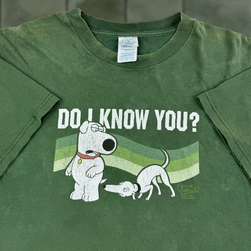Delta VINTAGE Delta Family Guy T-Shirt Adult XL Green Faded Brian Funny Cartoon Y2K Thrashed Men Size US XL / EU 56 / 4 - 1 Thumbnail