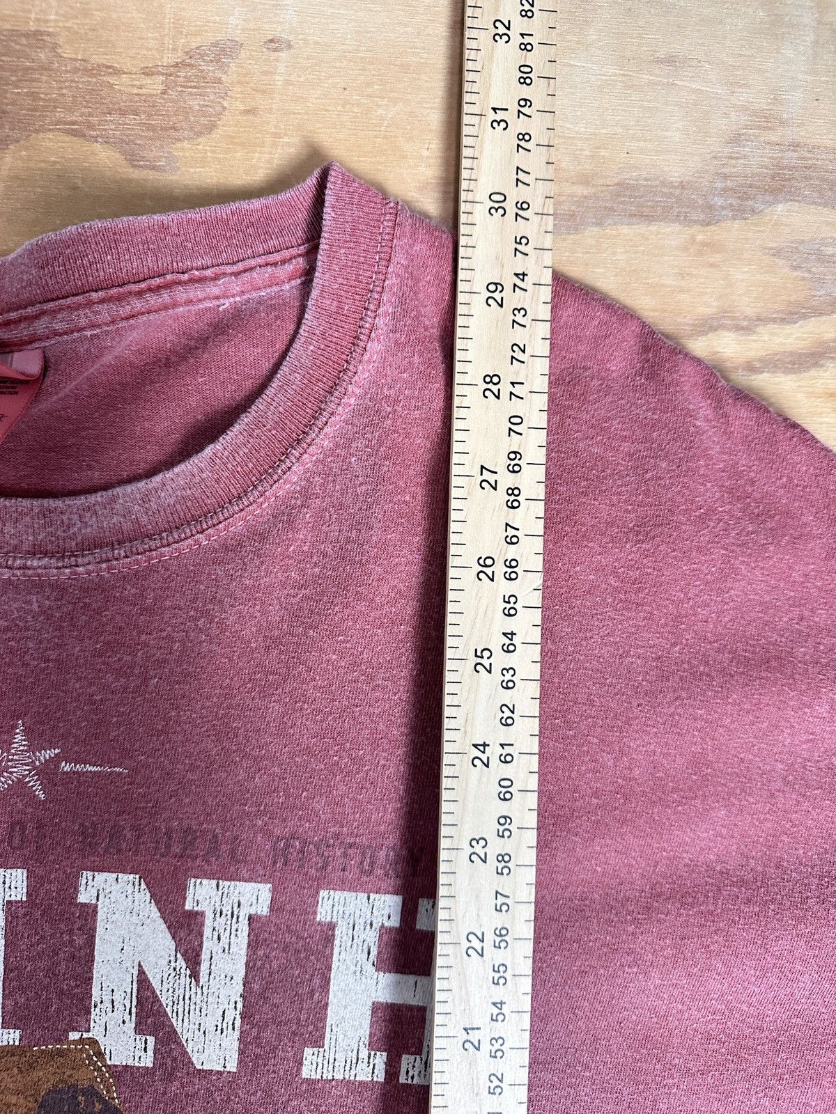 Perrin AMNH Dinosaur Graphic Tee XL Faded Red Museum Shirt Size US XL / EU 56 / 4 - 5 Thumbnail