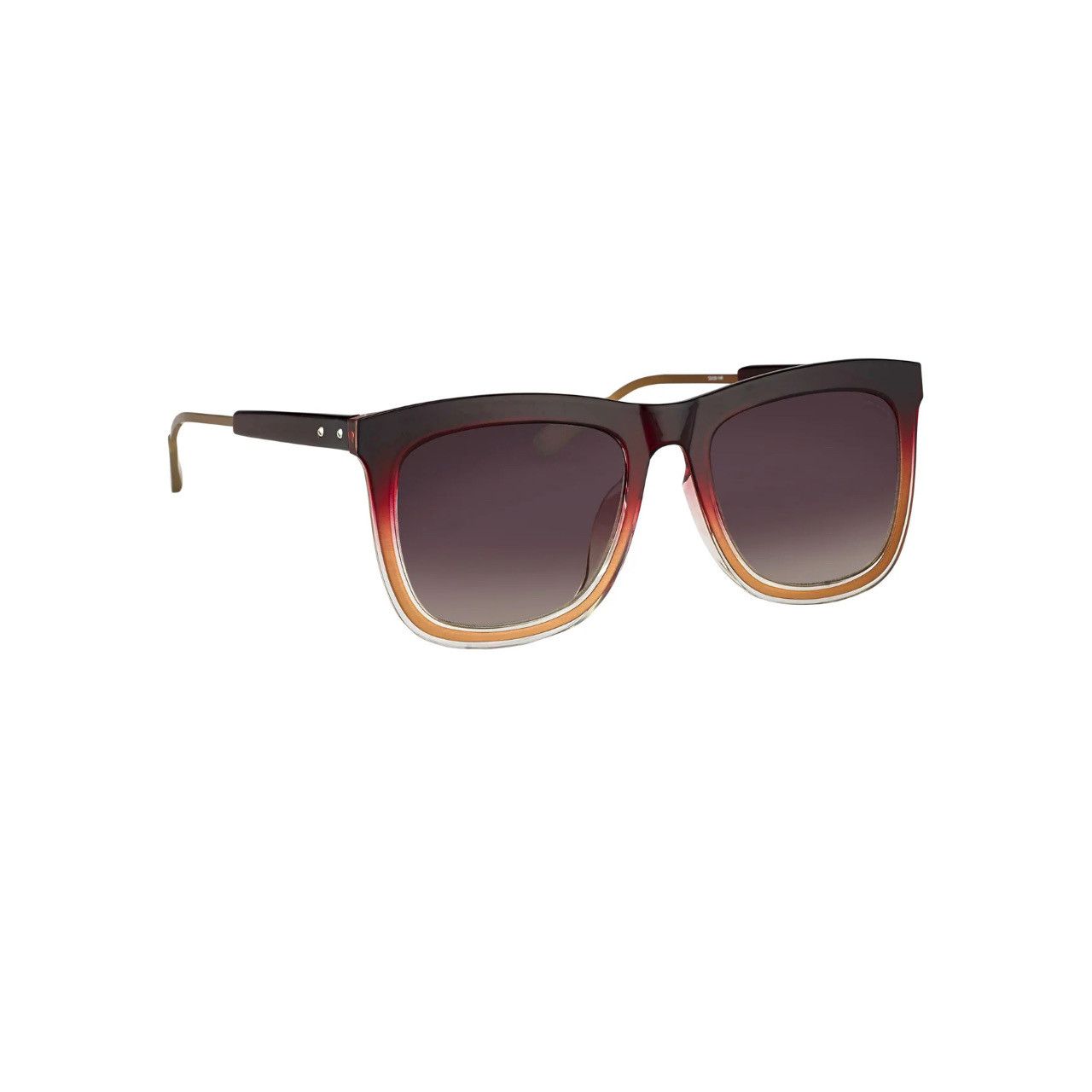 Dior Kris Van Assche Sunglasses D-Frame Burgundy and Brown Size ONE SIZE - 2 Thumbnail