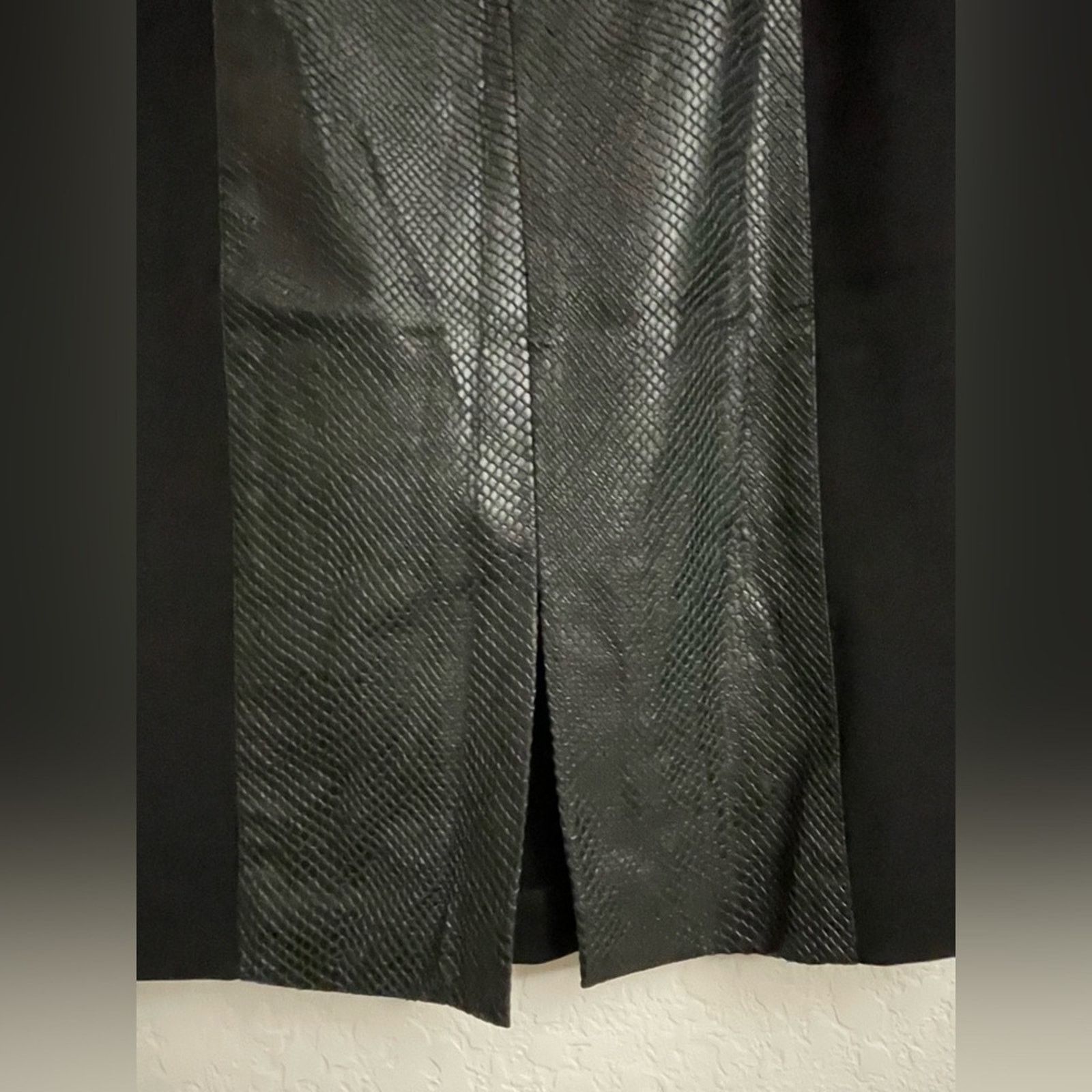 Club Monaco Club Monaco Python Francesca Black Skirt in Size 8 Size 30" / US 8 / IT 44 - 3 Thumbnail