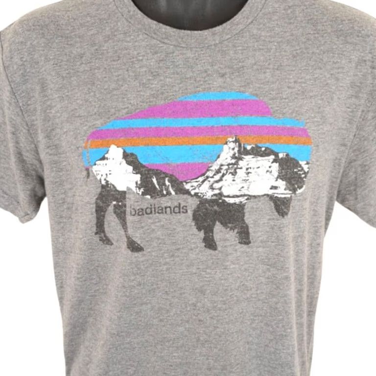 Next Level Badlands T Shirt Mens Small Gray National Park Bison Buffalo South Dakota Shirt Mens Small Gray National Park Bison Buffalo South Dakota Size US XL / EU 56 / 4 - 2 Thumbnail