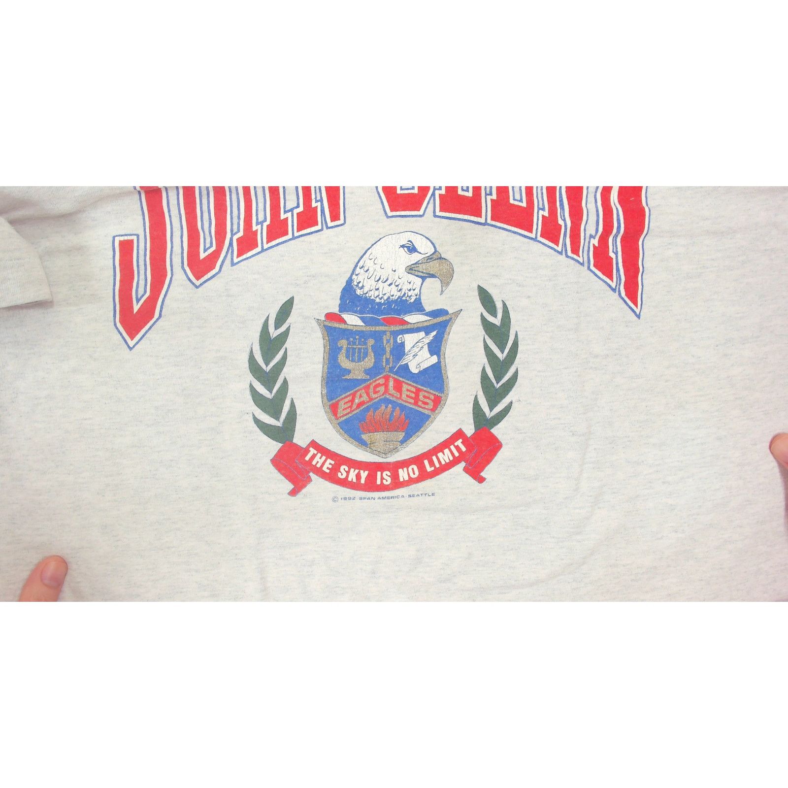 Fruit Of The Loom Fruit Of The Loom Vintage 1992 Single Stitch Eagle Tee XXL Size US XXL / EU 58 / 5 - 8 Thumbnail