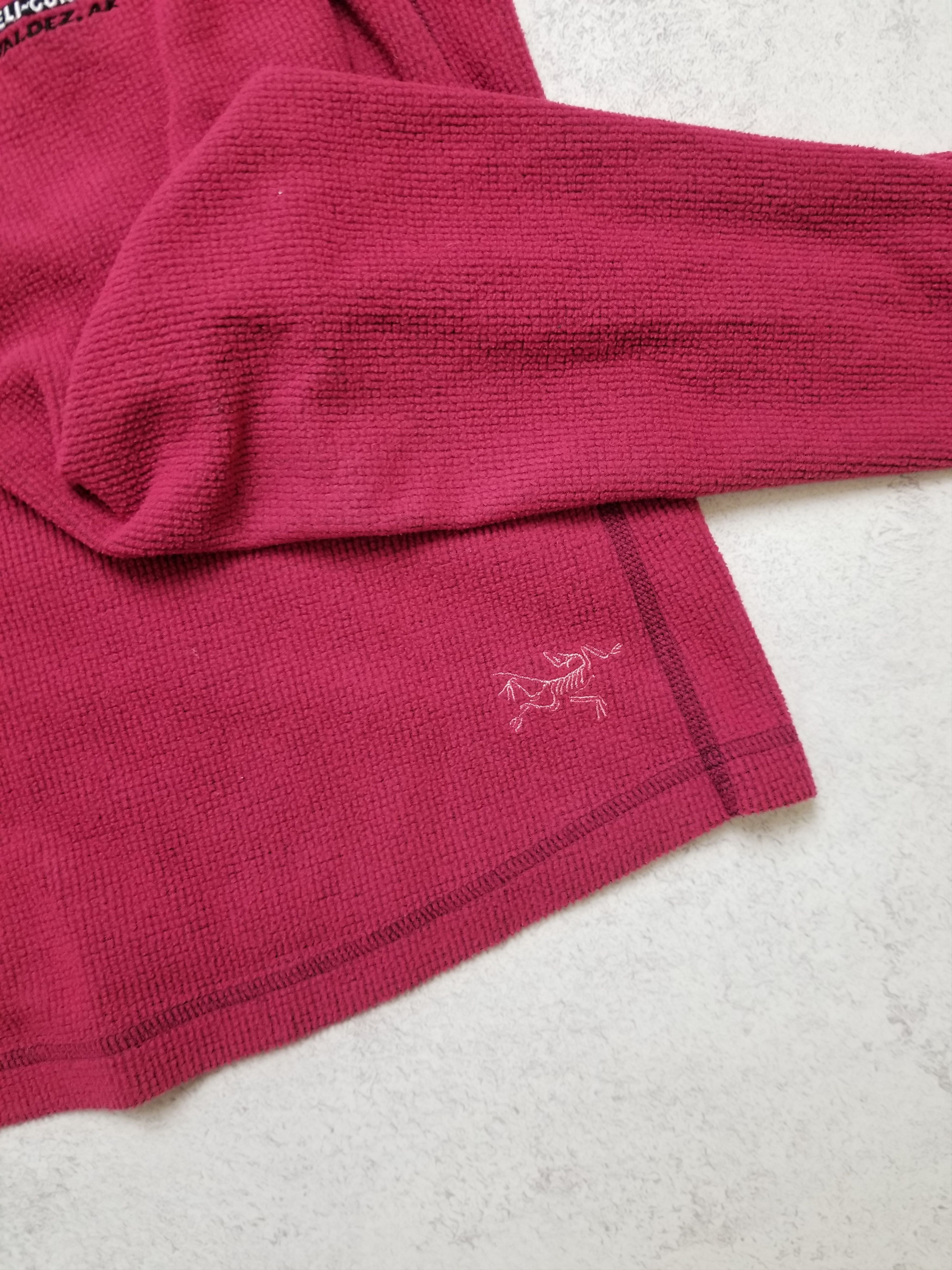 Arc'teryx Arc'Teryx DELTA Waffle Polartec Fleece 1/4 Zip Pullover Size L / US 10 / IT 46 - 10 Thumbnail