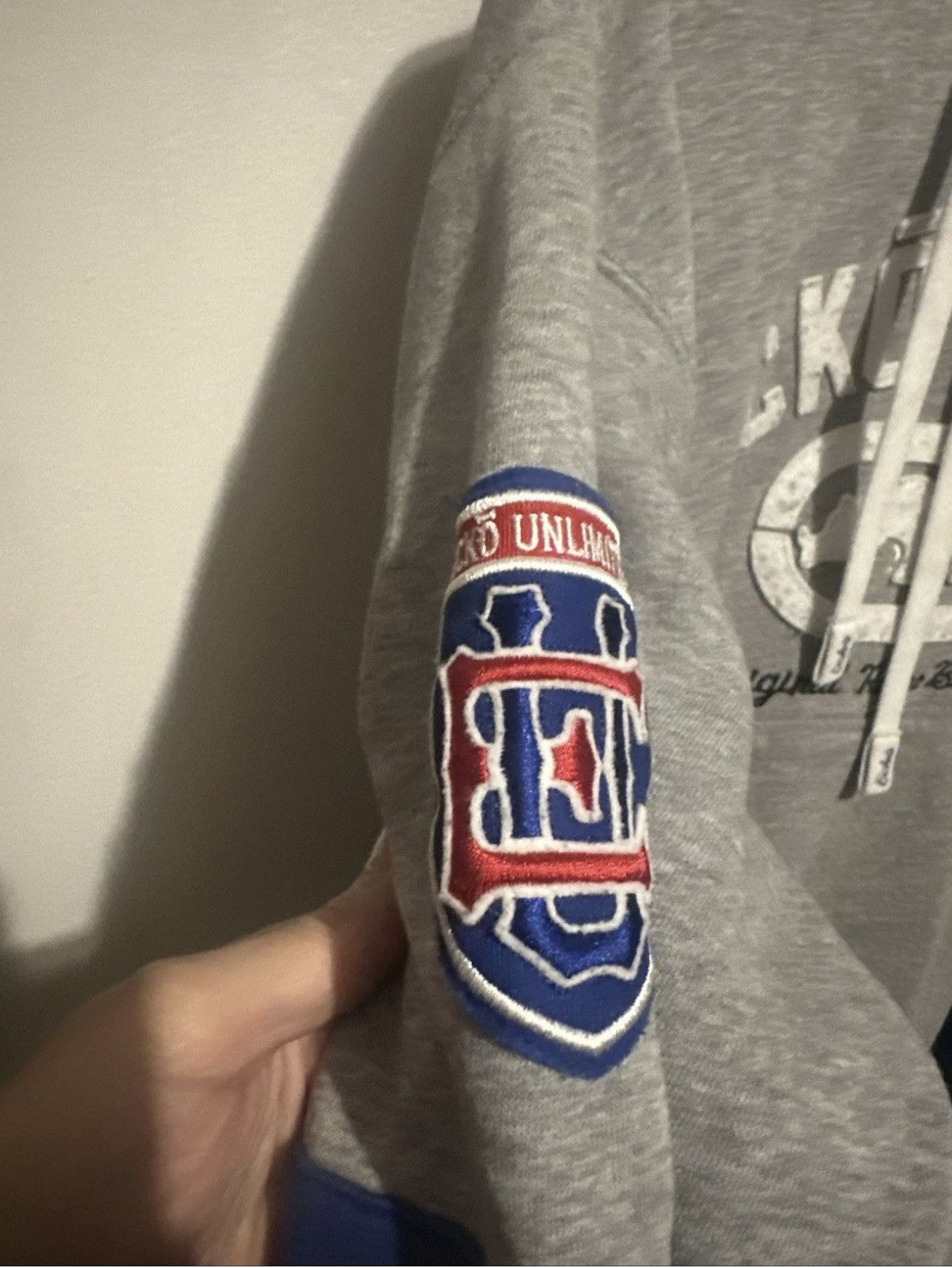 Ecko Unltd. Ecko Unltd. Men's Gray Embroidered Logo Hoodie Vintage Y2K Size US M / EU 48-50 / 2 - 3 Thumbnail