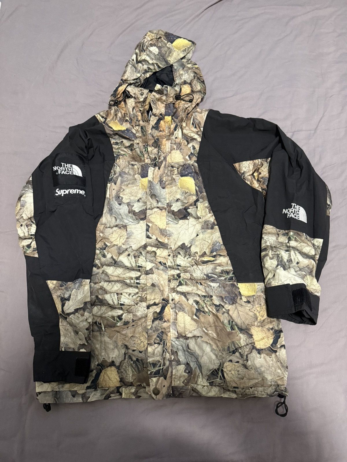 Supreme tnf the north face leaves mountain light Jacket