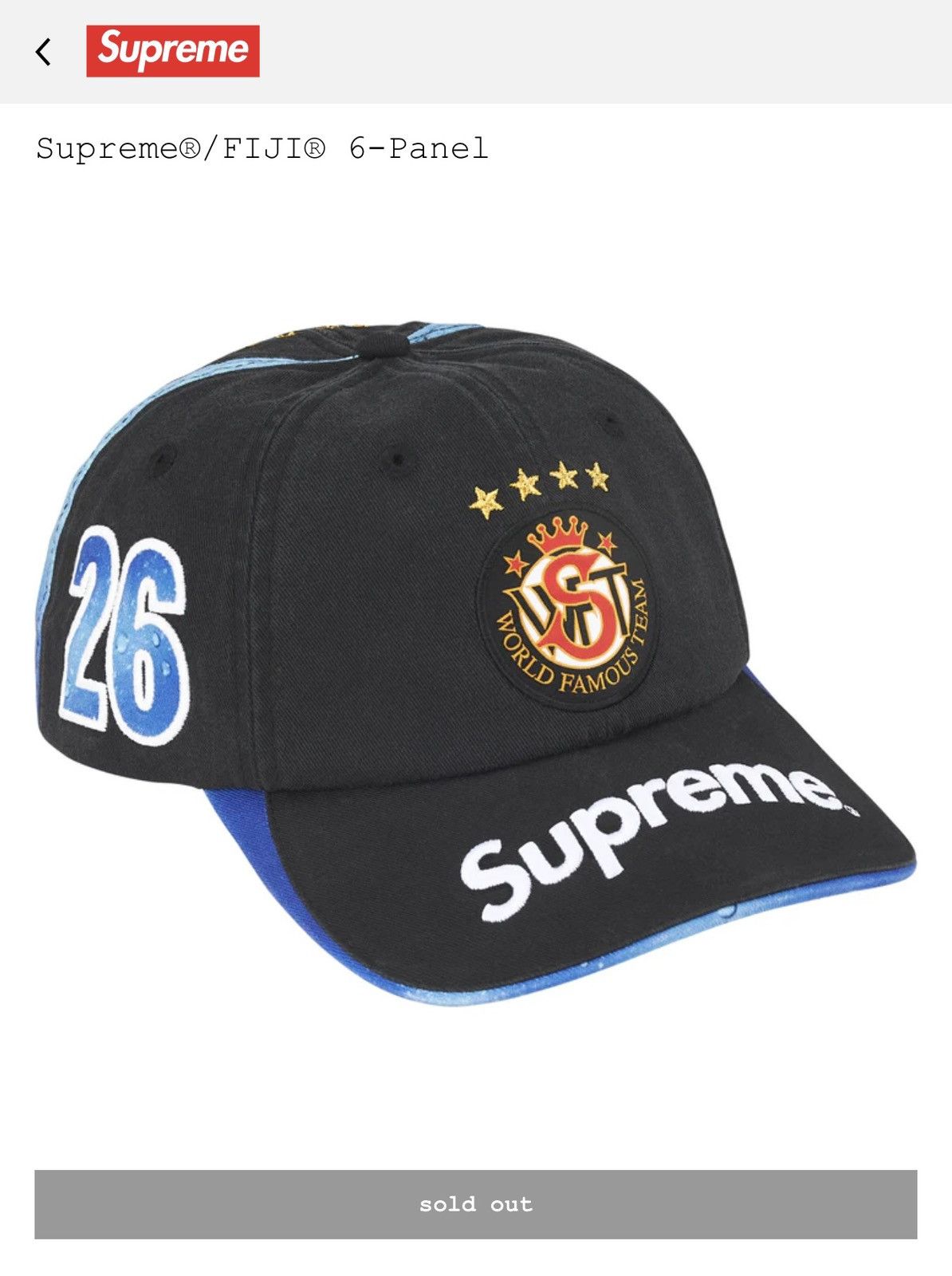 Supreme Supreme FIJI 6-Panel | Grailed