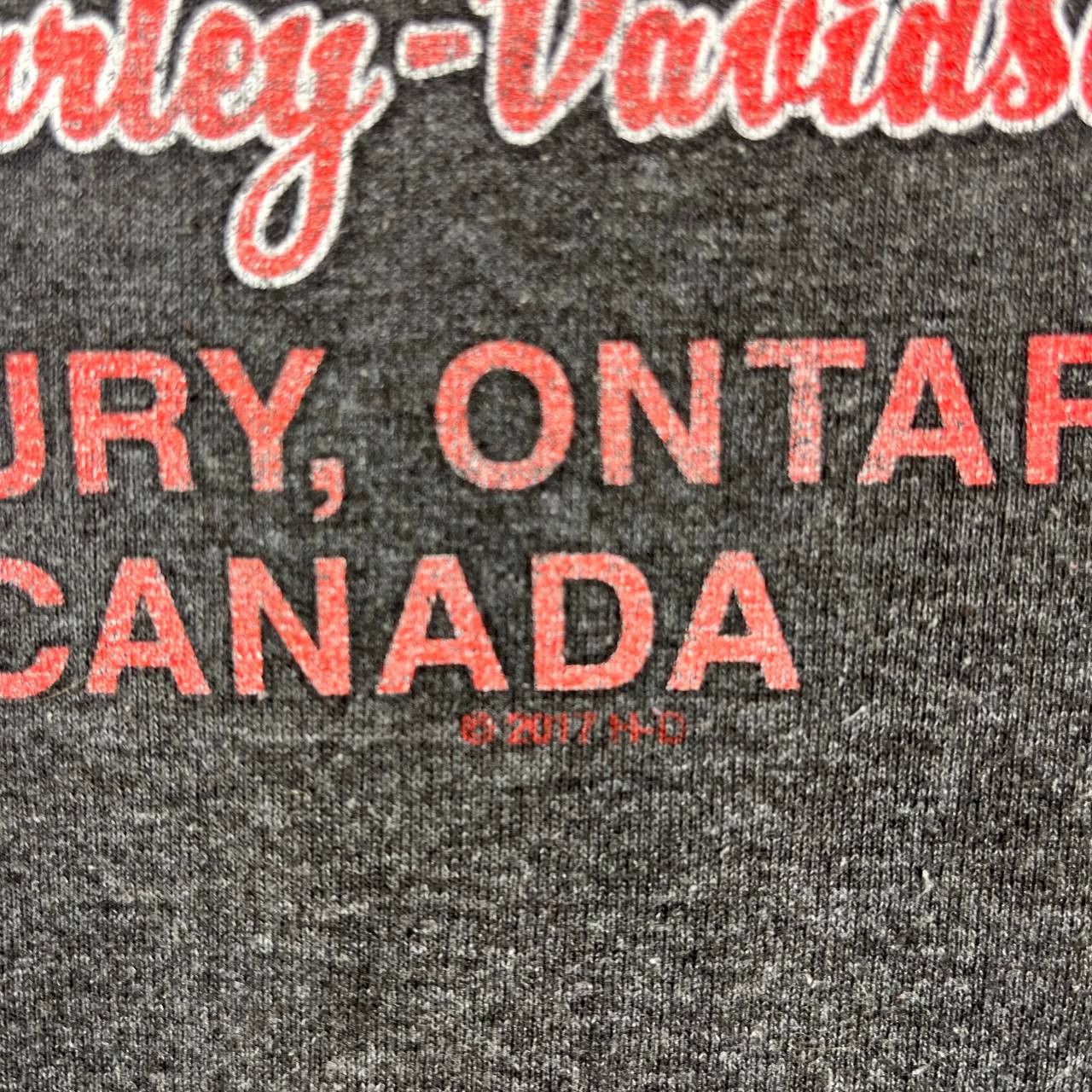 Harley Davidson Harley-Davidson Ride Canada Eh Graphic T-Shirt Grey Size L Size US L / EU 52-54 / 3 - 5 Thumbnail