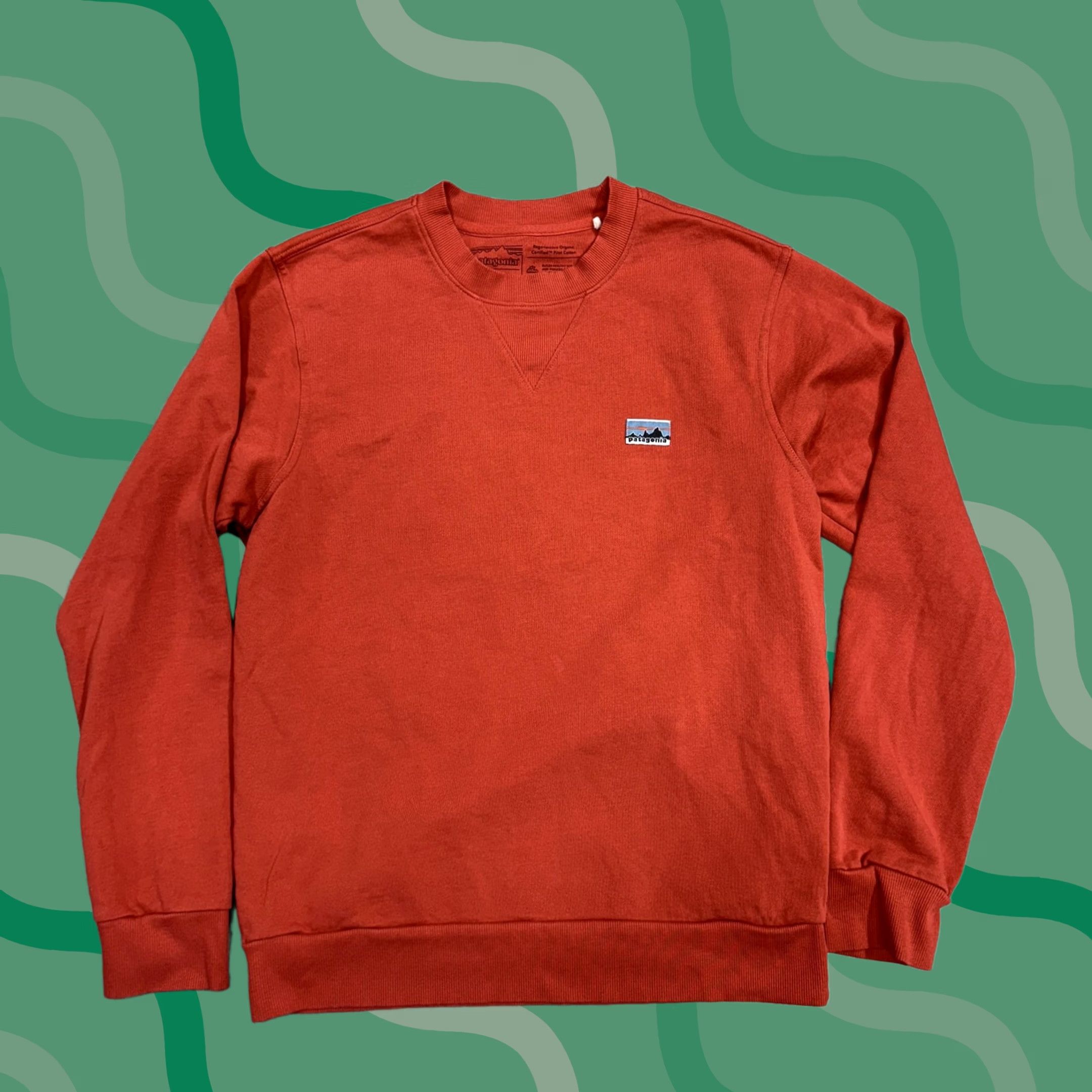 Patagonia Patagonia Sweatshirt Mens Small Orange Organic Cotton Crewneck Fleece Pullover Size US S / EU 44-46 / 1 - 1 Thumbnail