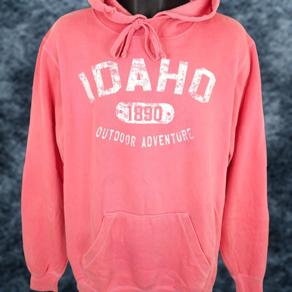 Vintage New Agenda Hoodie Mens Size Medium Pink Idaho Destination Outdoor Travel Tourism Size US M / EU 48-50 / 2 - 1 Thumbnail
