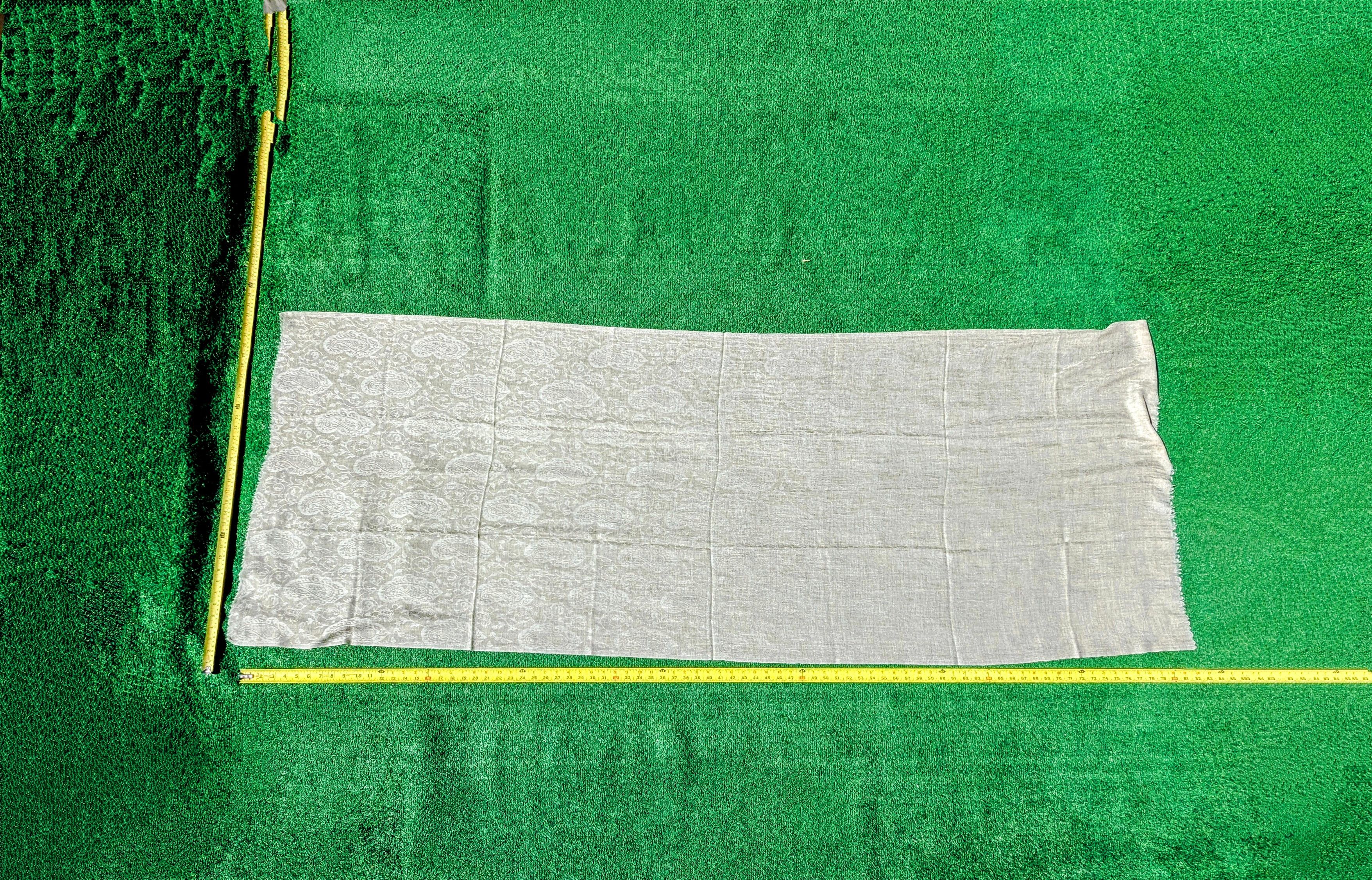 NakedCashmere Pashmina Cashmere Long Soft Paisley Pattern Panel Scarf Size ONE SIZE - 4 Thumbnail