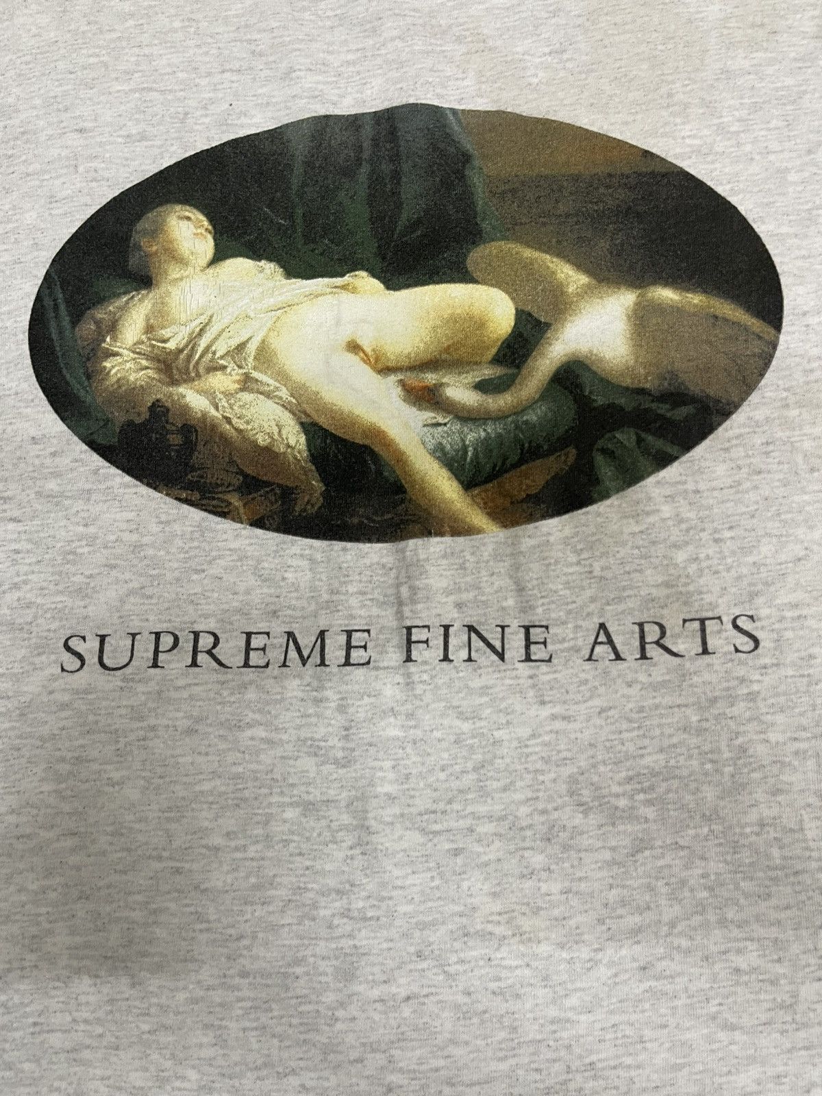 Supreme 2000s SUPREME LEDA AND SWAN TEES GREY Size US S / EU 44-46 / 1 - 5 Thumbnail