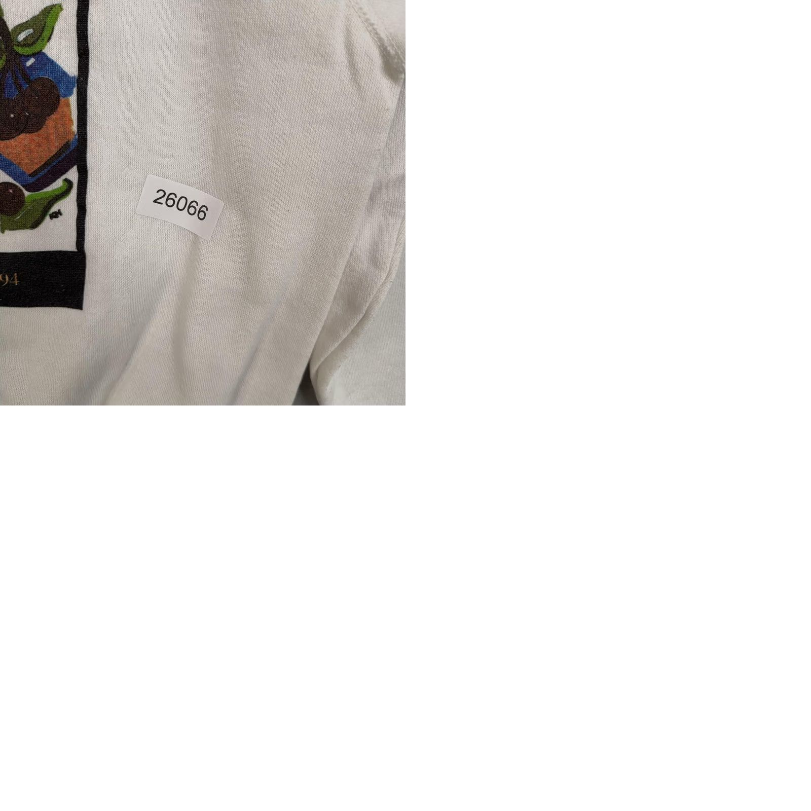 Tultex Vintage Food Sweatshirt Mens Medium NASFT Show San Francisco 1994 90s Size US M / EU 48-50 / 2 - 9 Thumbnail