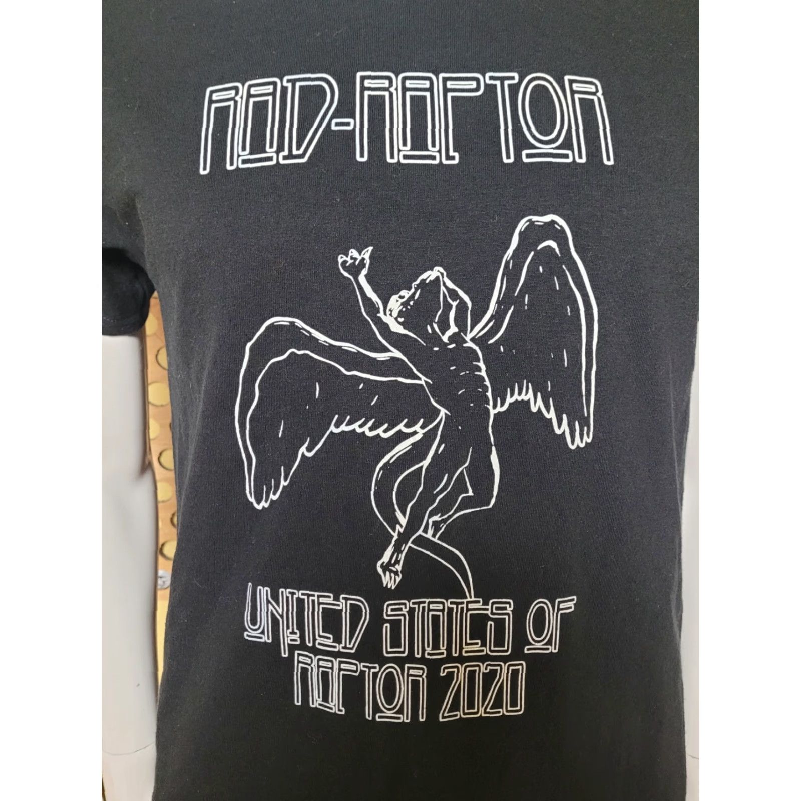 Gildan Rad Raptor Comics T Shirt Medium Adrian MI 2020 Nice Zeppelin Size US M / EU 48-50 / 2 - 2 Thumbnail