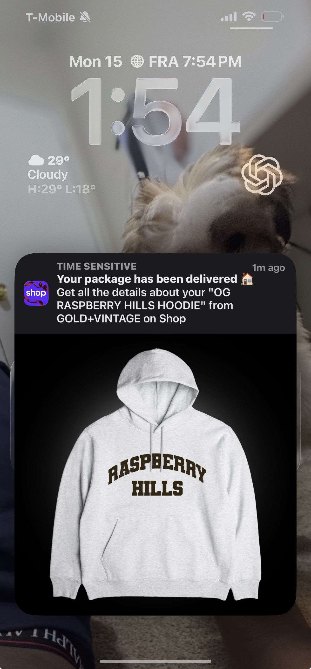 The GV Gallery OG RASPBERRY HILLS HOODIE Size US S / EU 44-46 / 1 - 5 Thumbnail