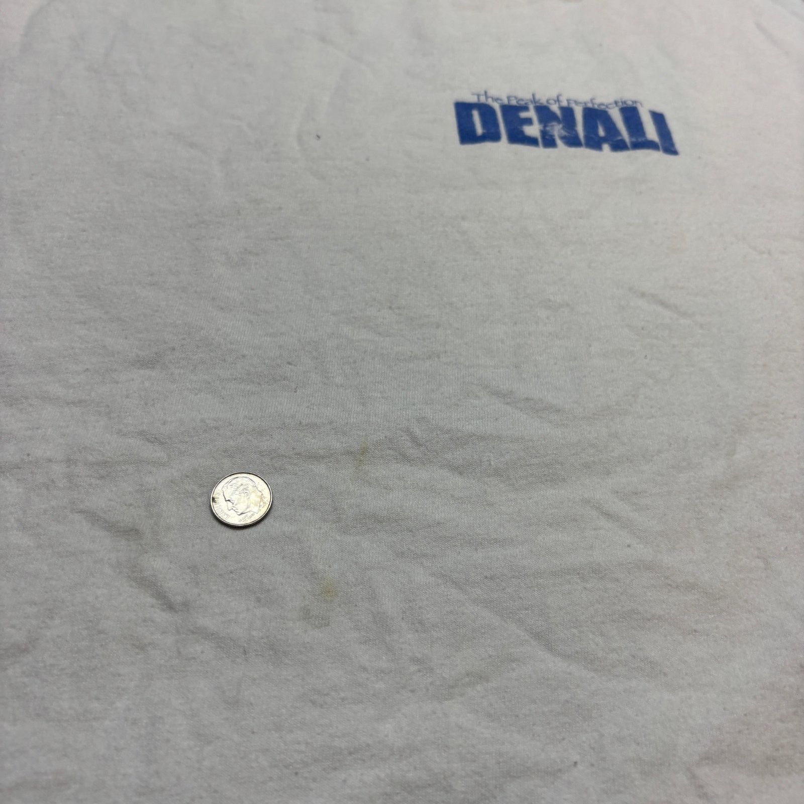Hanes × Vintage VTG NMB Denali Peak of Perfection Climbing Keyboard Shirt XL Size US XL / EU 56 / 4 - 10 Thumbnail