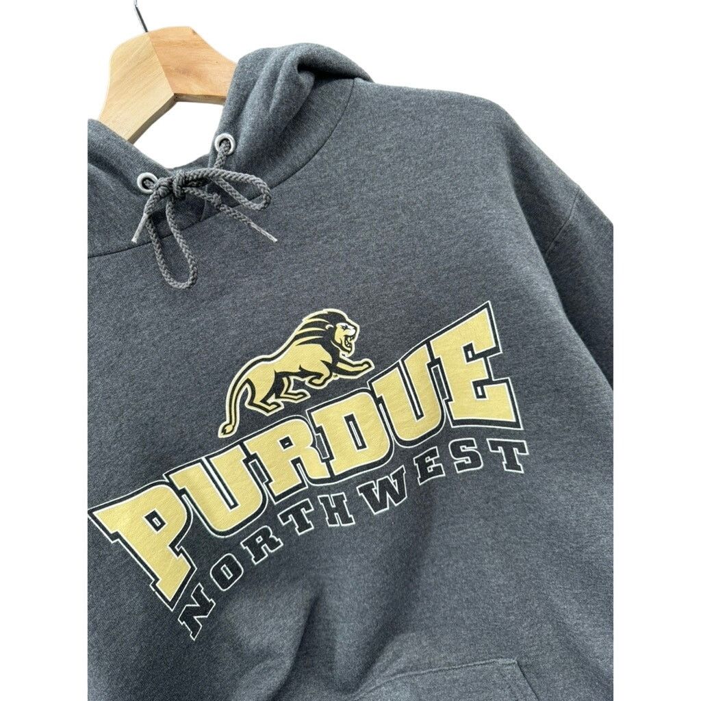 Champion × Vintage 2000's Champion Purdue Northwest College Graphic Hoodie Size US L / EU 52-54 / 3 - 5 Thumbnail