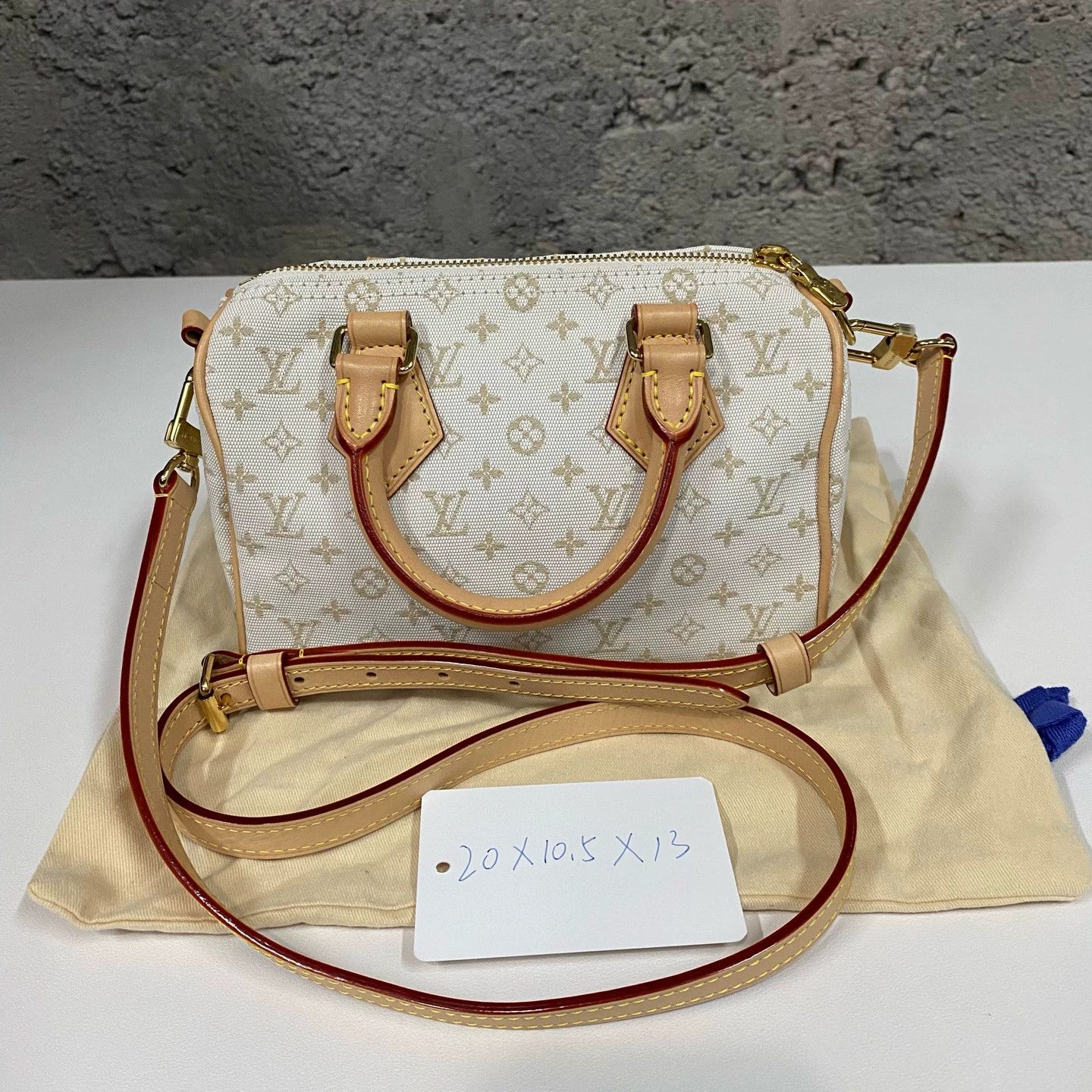 Louis Vuitton LV Speedy Pillow Bag white denim Size ONE SIZE - 9 Thumbnail