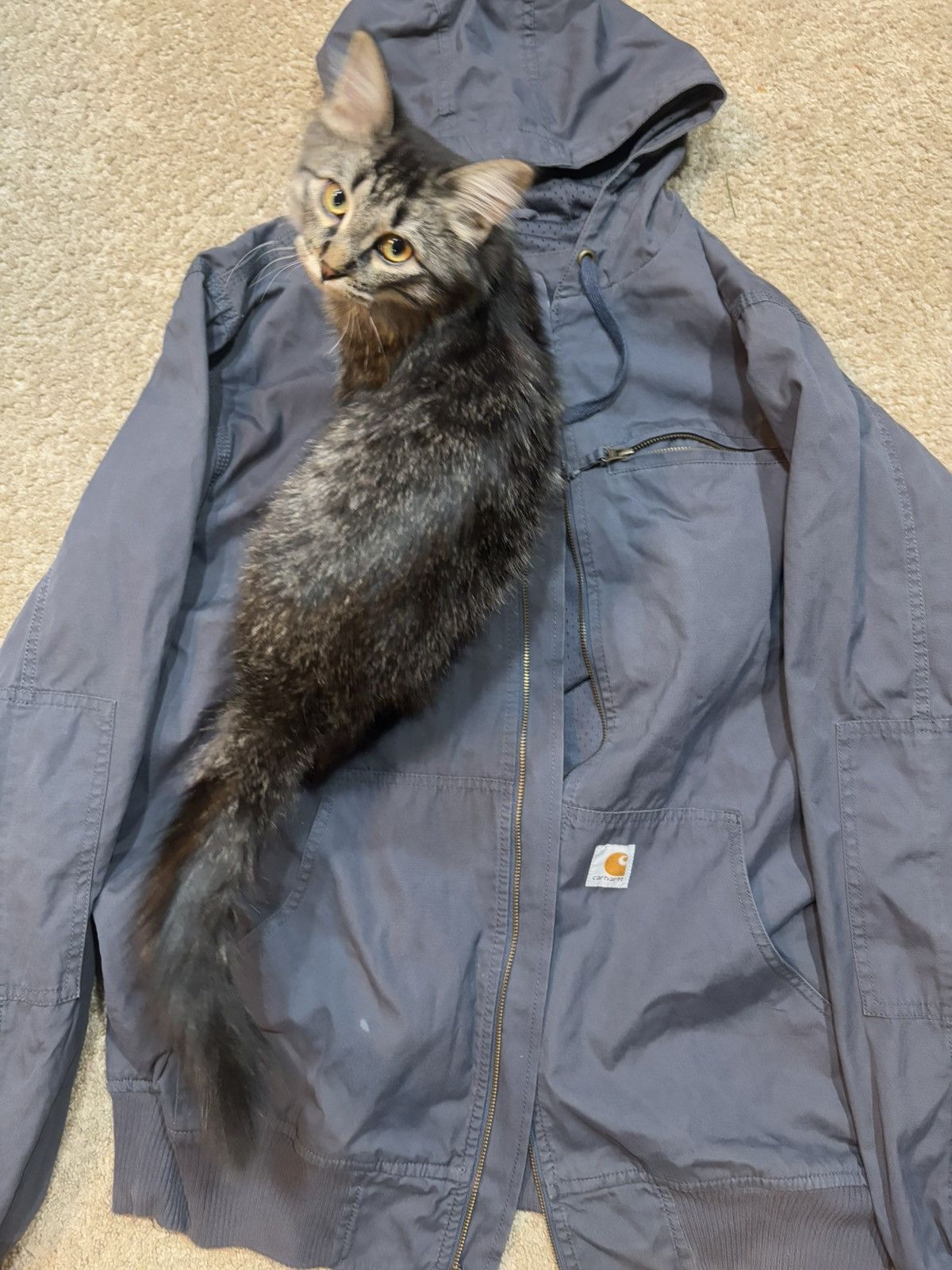 Carhartt Navy Blue Carhartt Bomber Jacket Size US L / EU 52-54 / 3 - 4 Thumbnail
