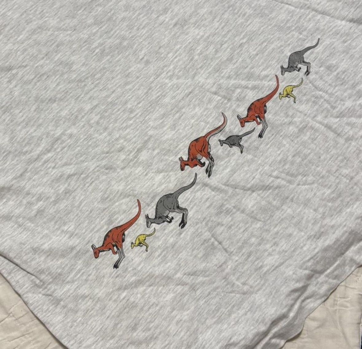 Hanes 90s singlestitch San Diego Wild Animal Park grey Tee rare Size US XL / EU 56 / 4 - 6 Thumbnail