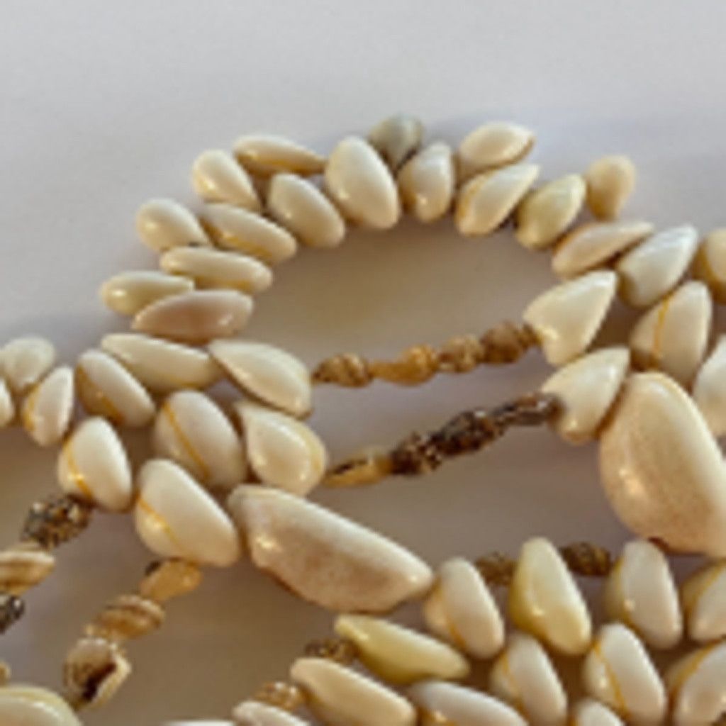 Other Late 20th Century Natural Cowrie Shell Wall Decor Size ONE SIZE - 3 Thumbnail