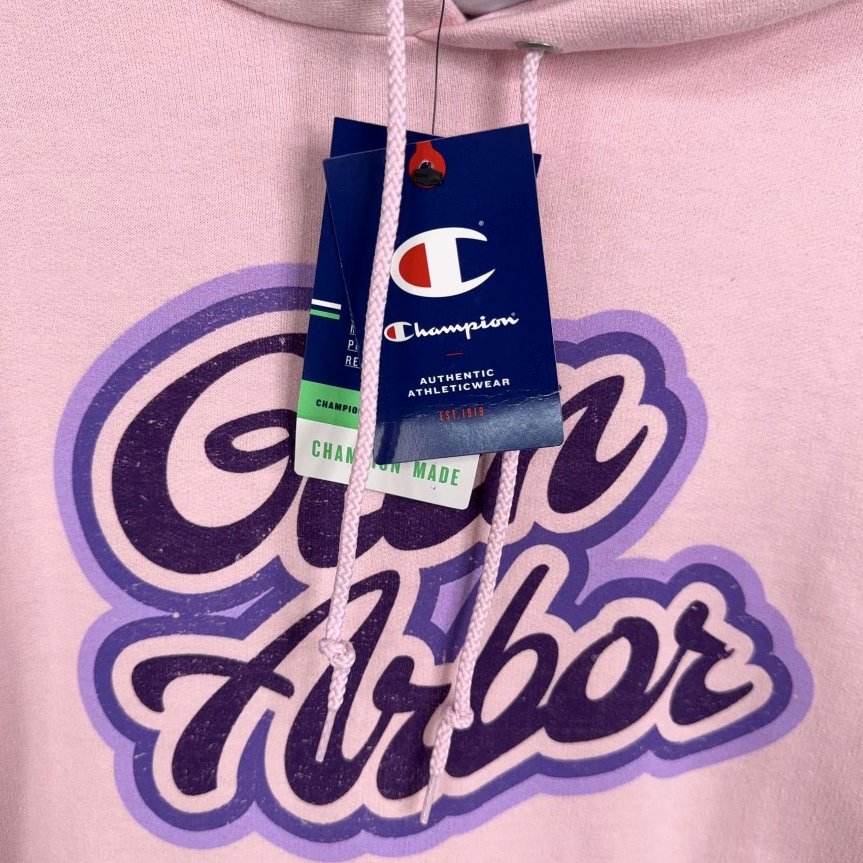 Champion Champion Hoodie Adult Large Pink Pullover Fleece Sweatshirt Glen Arbor Graphic Mens Size US L / EU 52-54 / 3 - 3 Thumbnail