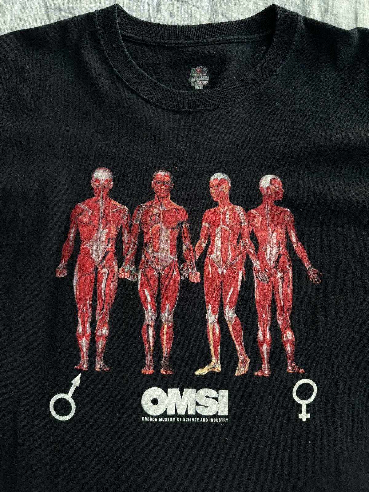Vintage Vintage Anatomy Fruit of the Loom tee Size US L / EU 52-54 / 3 - 3 Thumbnail