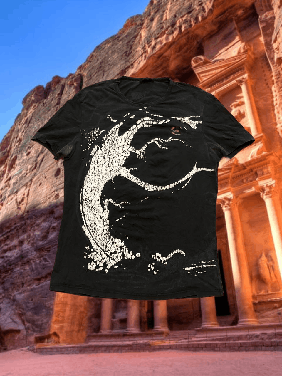 Just Cavalli Vintage Just Cavalli black T-Shirt Y2K streetwear size XL Size US XL / EU 56 / 4 - 1 Thumbnail