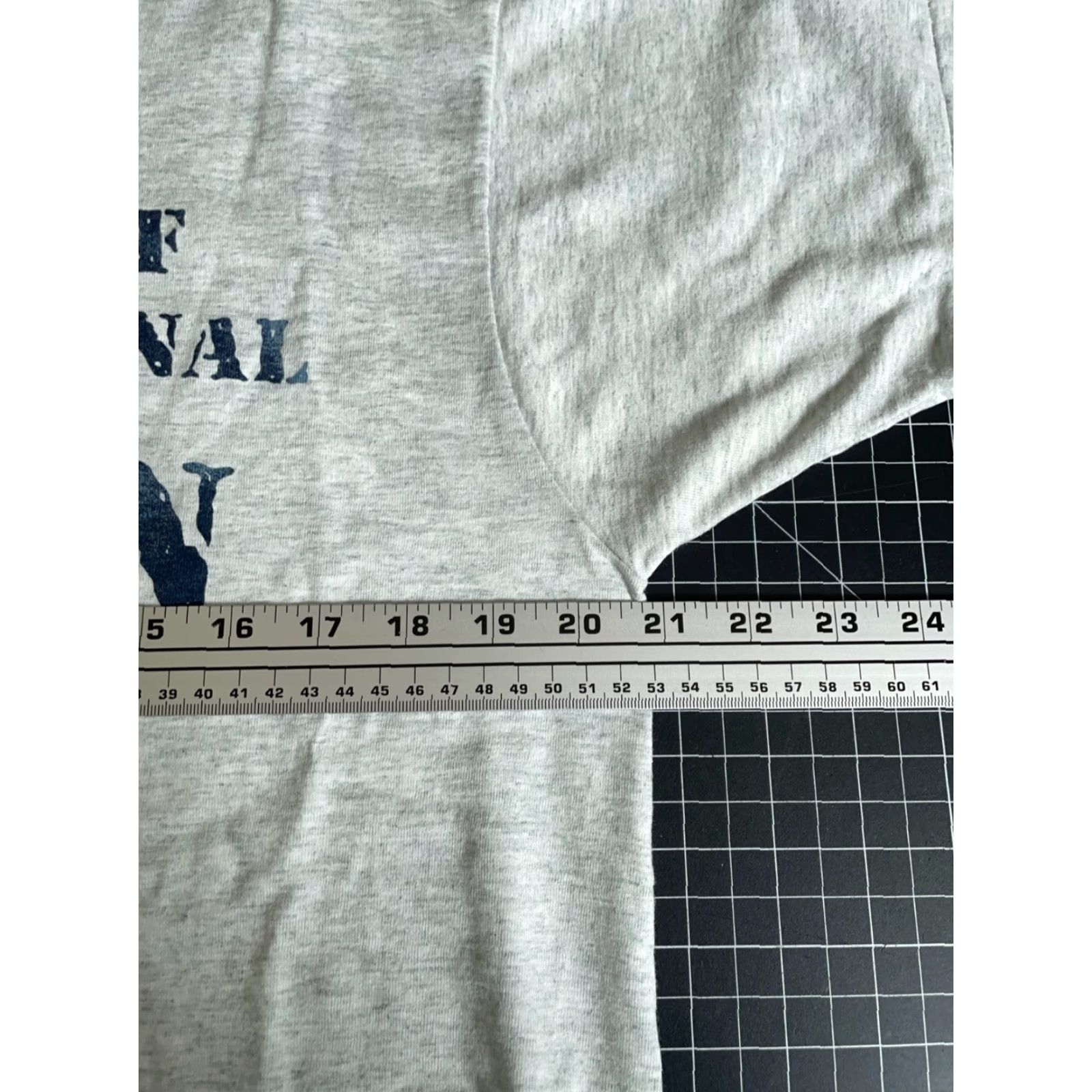 Fruit Of The Loom 90s Michigan Prison Property T-Shirt Adult Large Heather Gray Single Stitch Size US L / EU 52-54 / 3 - 5 Thumbnail