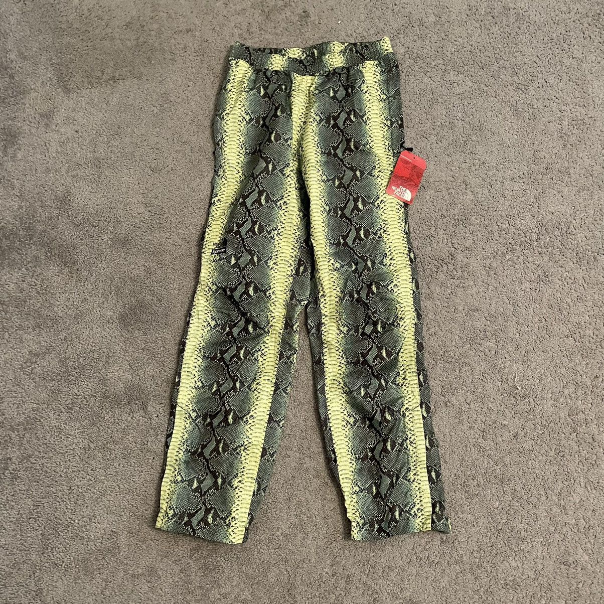 Supreme The North Face Snakeskin Taped Seam Pant | Grailed