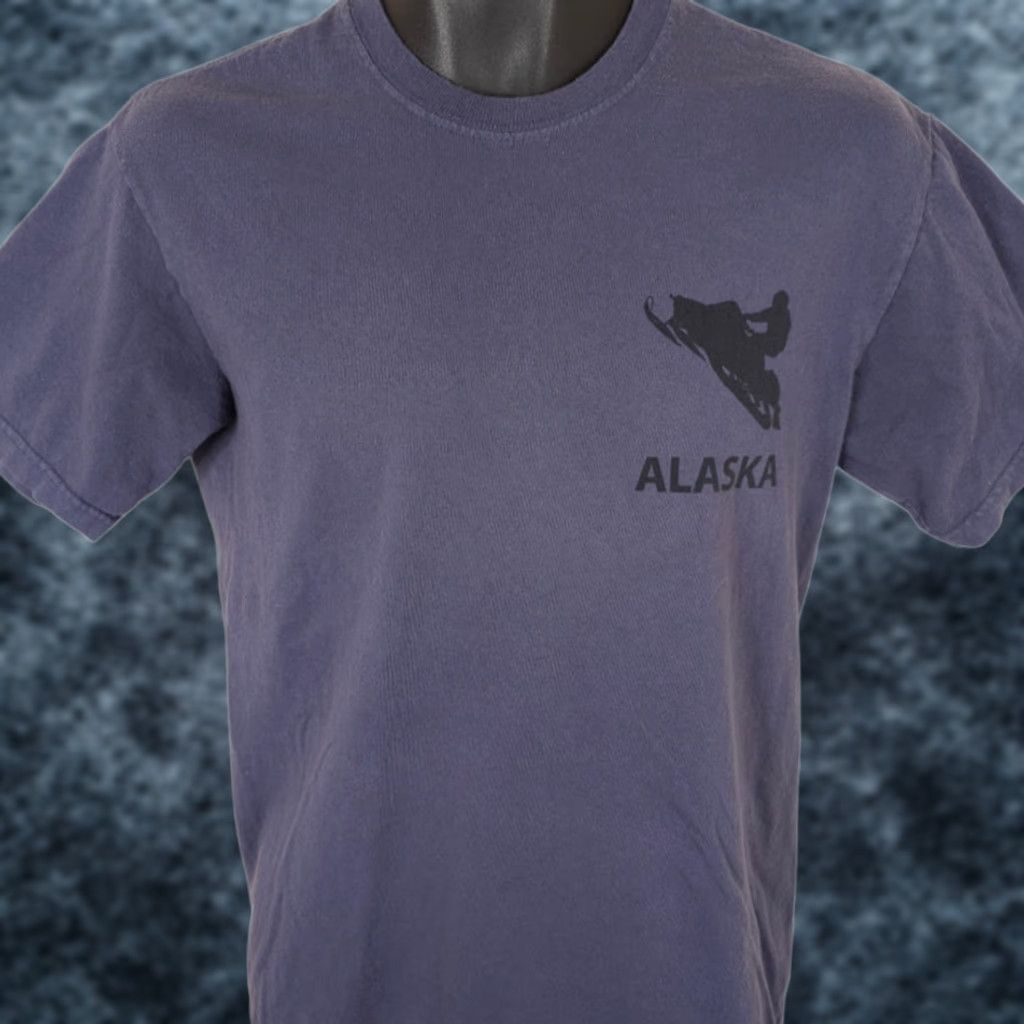 The Mountain Snowmobiling Alaska T Shirt Mens Size Small Gray Group Therapy Travel Tee Size US S / EU 44-46 / 1 - 1 Thumbnail