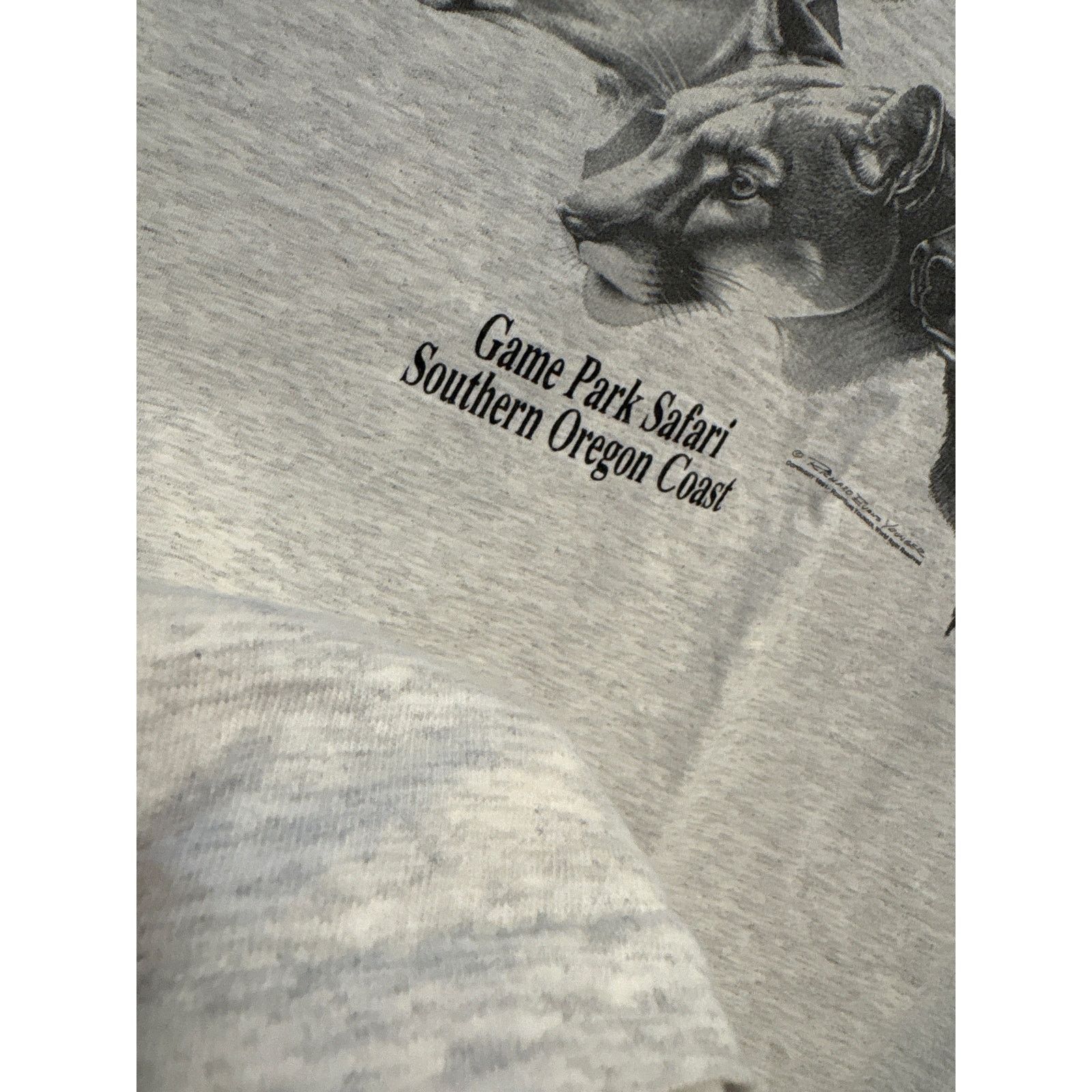 Vintage VTG 1991 Richard Evans Younger game park Safari Oregon shirt Size US XL / EU 56 / 4 - 4 Thumbnail