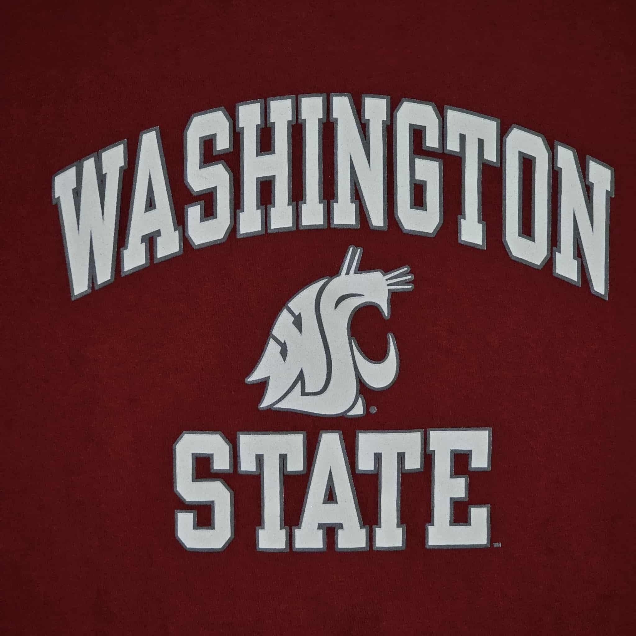 Champion Washington State Cougars Champion T-Shirt Size US M / EU 48-50 / 2 - 2 Thumbnail
