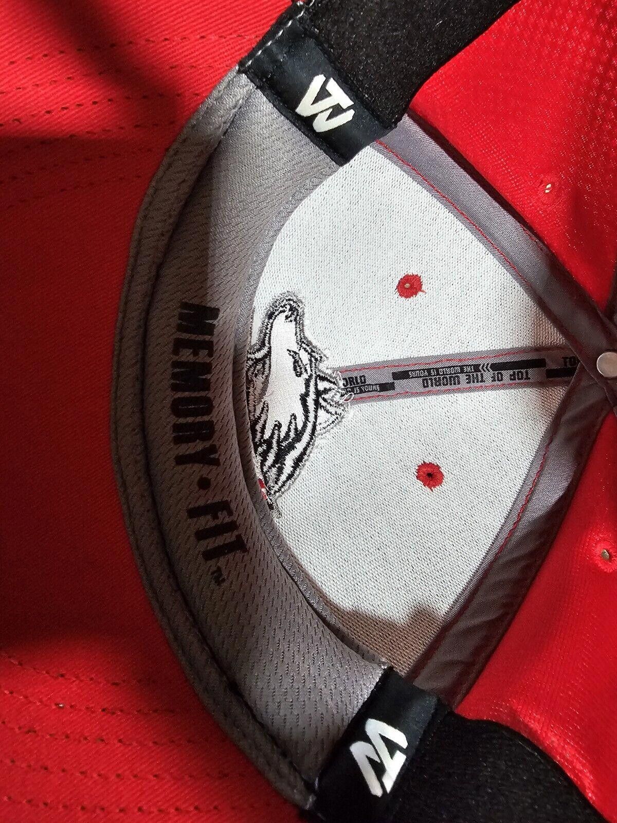 Top Of The World NIU Northern Illinois Huskies Hat Memory Top Of World OSFA Size ONE SIZE - 11 Thumbnail