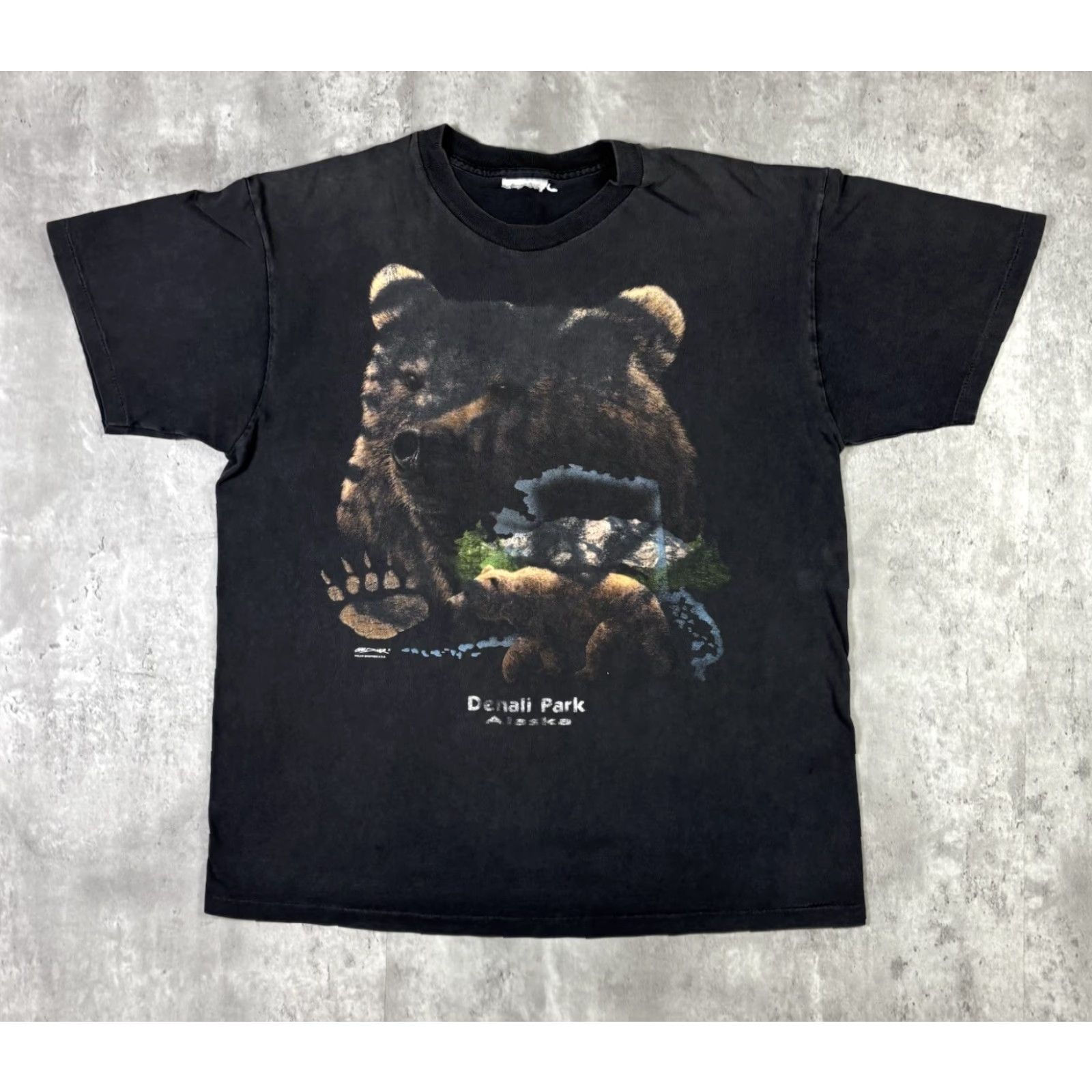 Hanes VINTAGE Hanes T-Shirt Denali Park Alaska grizzly bear nature art size L 90s USA Shirt Mens Black Cotton Size US L / EU 52-54 / 3 - 2 Thumbnail