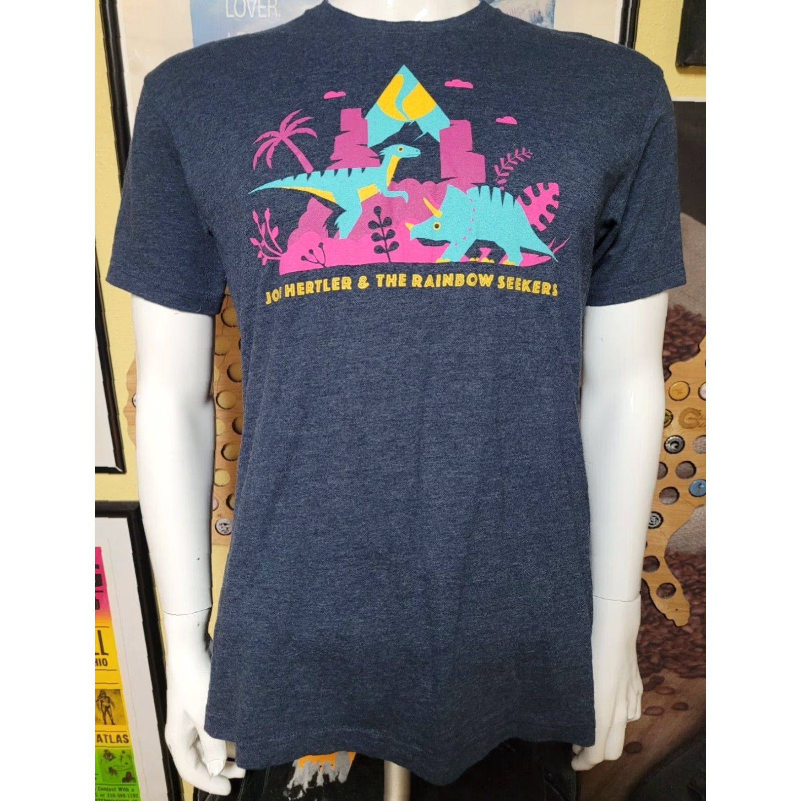 Next Level Joe Hertler & The Rainbow Seekers Dinosaurs Indie Rock Band T Shirt MI Medium Shirt Men Gray 00s Band Music Graphic Tee Size US M / EU 48-50 / 2 - 2 Thumbnail