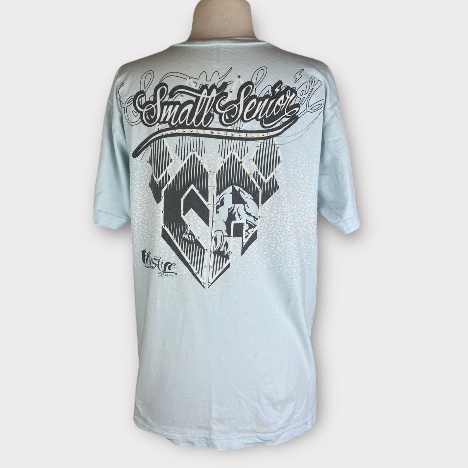 American Apparel Cheer Athletics | American Apparel | Vintage Custom Tshirt Size L / US 10 / IT 46 - 7 Thumbnail