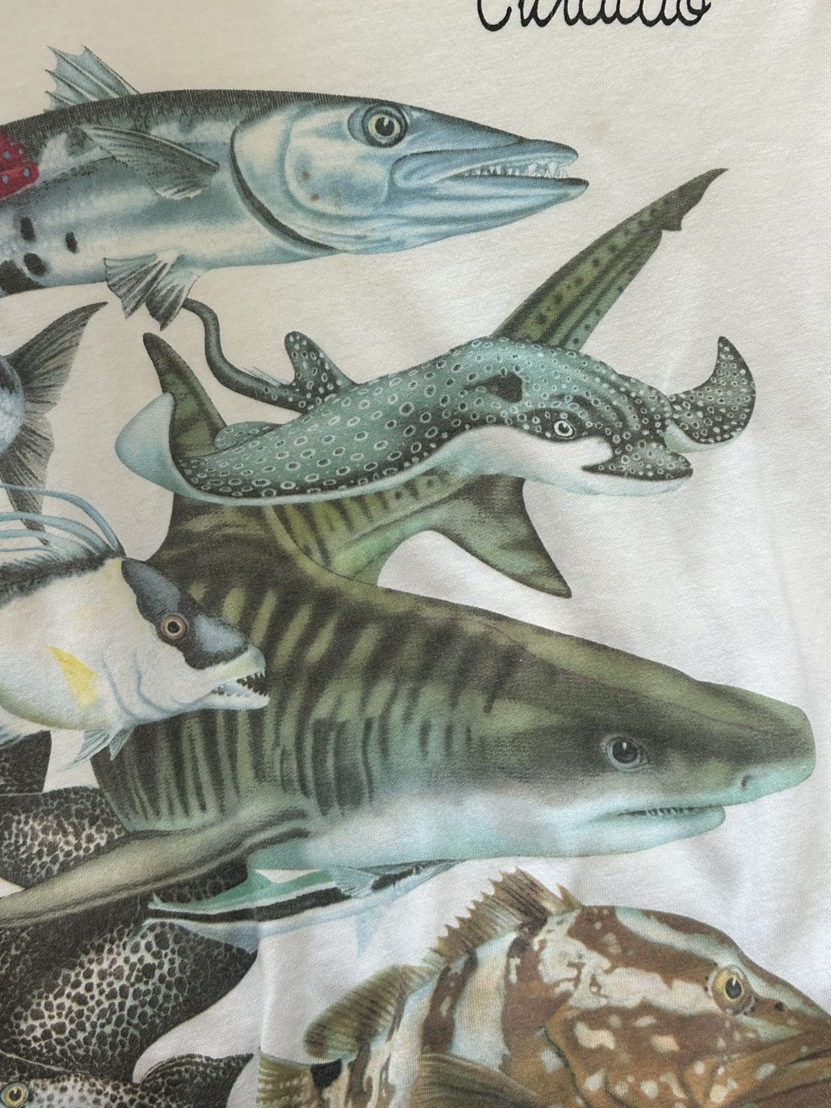 Band Tees × Japanese Brand × Vintage Vintage Harlequin Graphic T Shirt White USA Fishes Sharks Size US XL / EU 56 / 4 - 8 Thumbnail