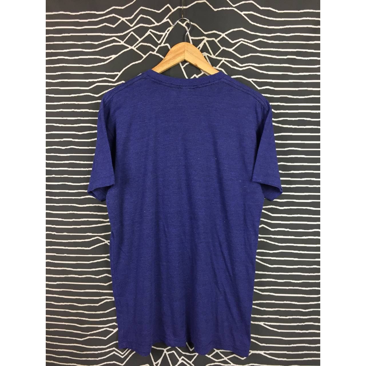 American Apparel × Band Tees Joshua Radin American Acoustic Folk Singer Tee Size L Size US L / EU 52-54 / 3 - 5 Thumbnail