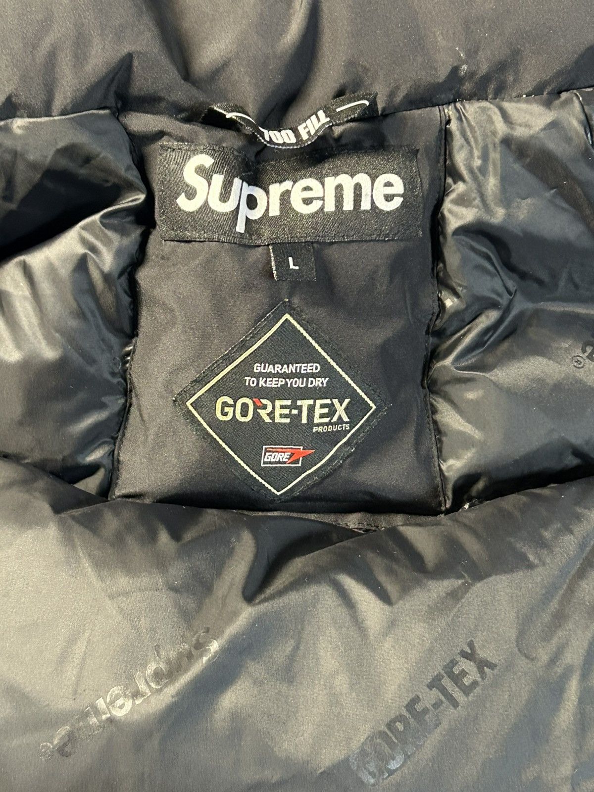 Supreme Supreme x Gore Tex700 fill down parka Gortex Size US L / EU 52-54 / 3 - 4 Thumbnail