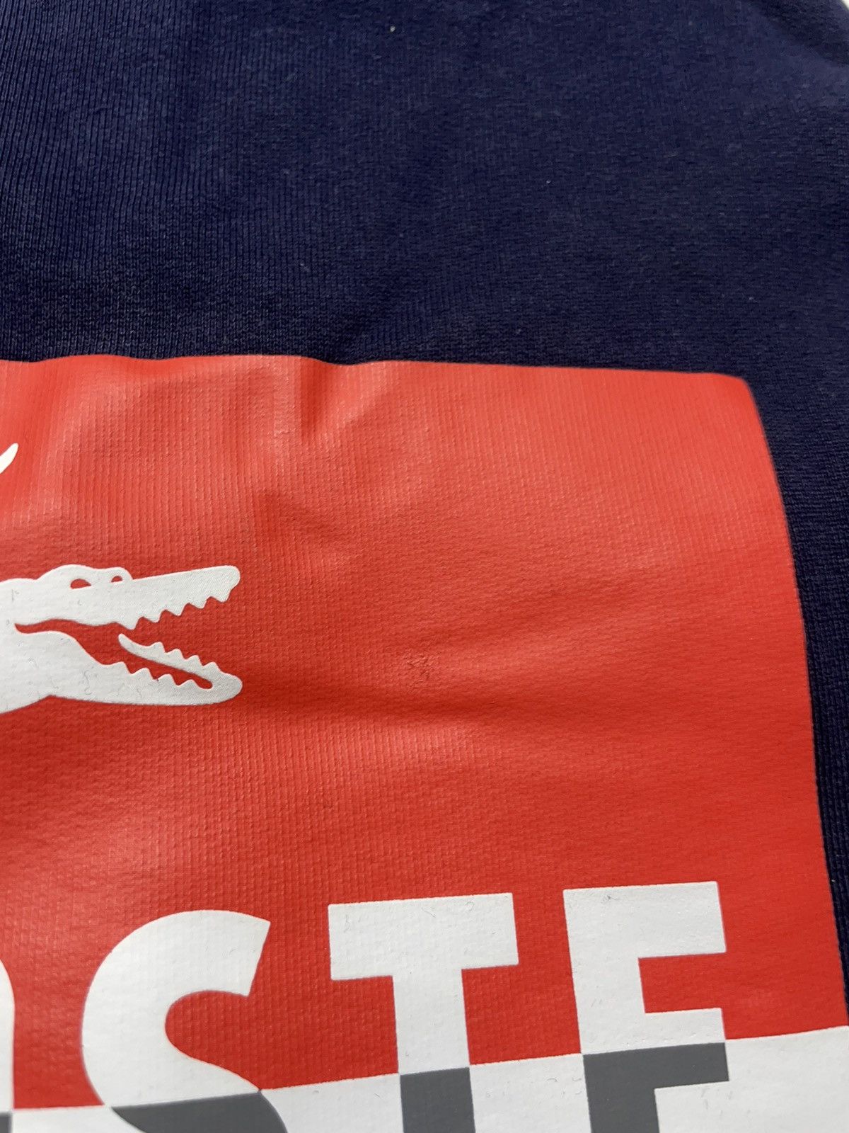 Lacoste Lacoste Sport Bog Logo Zip Hoodie Size US L / EU 52-54 / 3 - 4 Thumbnail