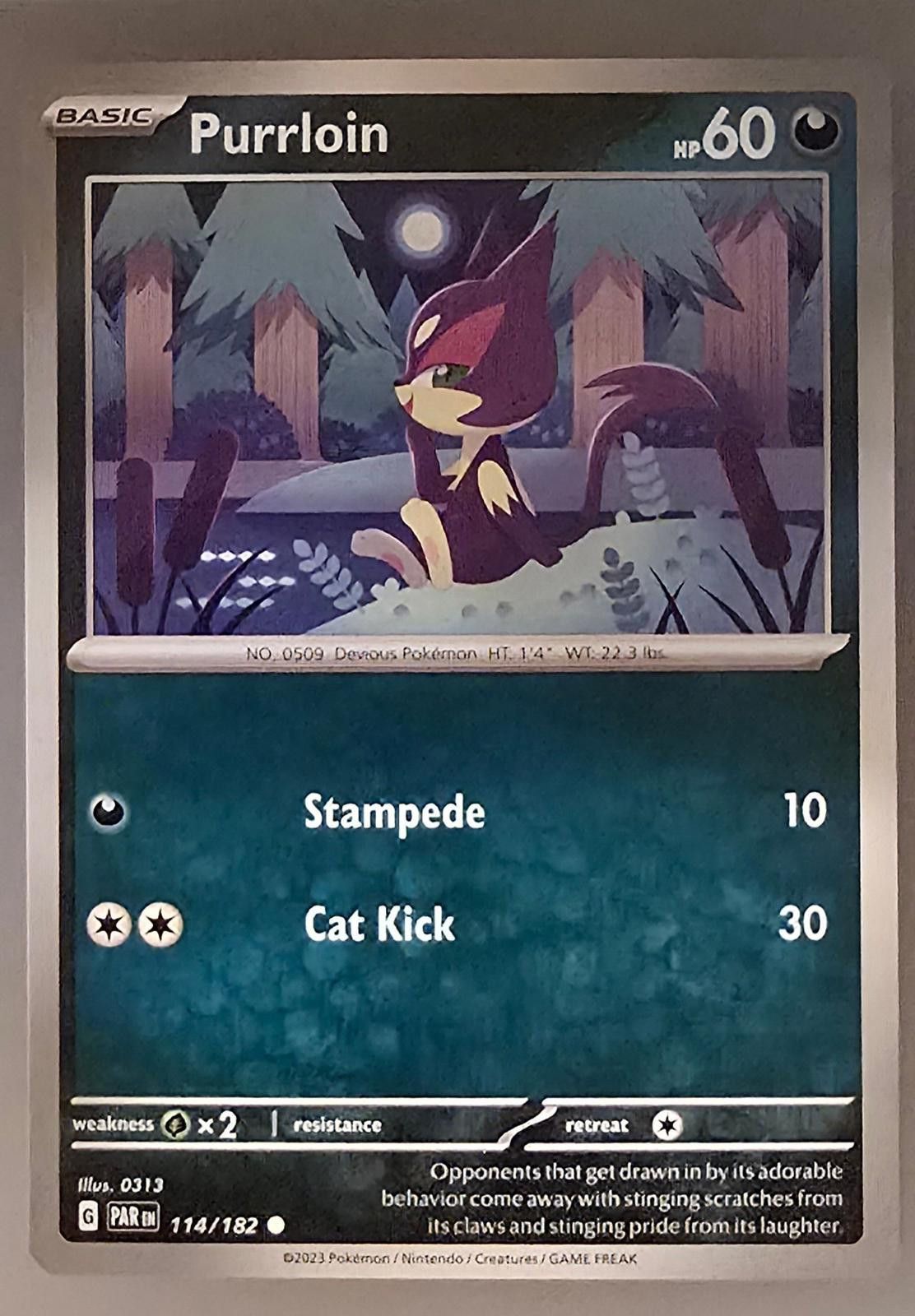 Pokemon Purrloin Pokémon Scarlet & Violet—Paradox Rift expansion Size ONE SIZE - 1 Thumbnail